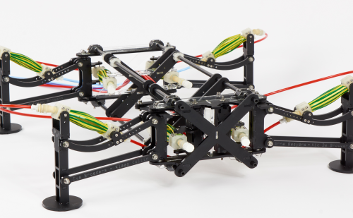 Morphological Control