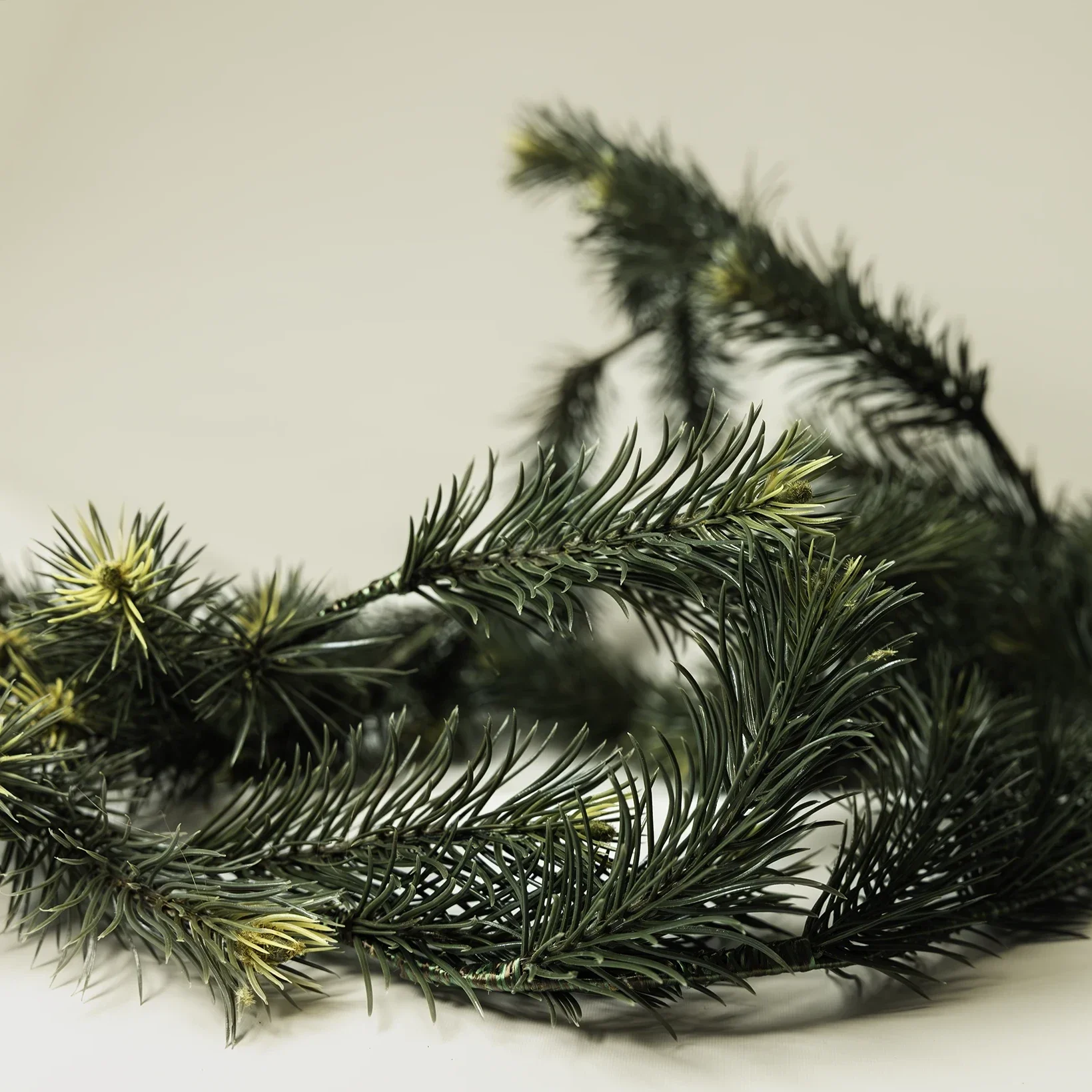 Vihreä havuköynnös JuhlaToppilan somistevuokrauksessa.