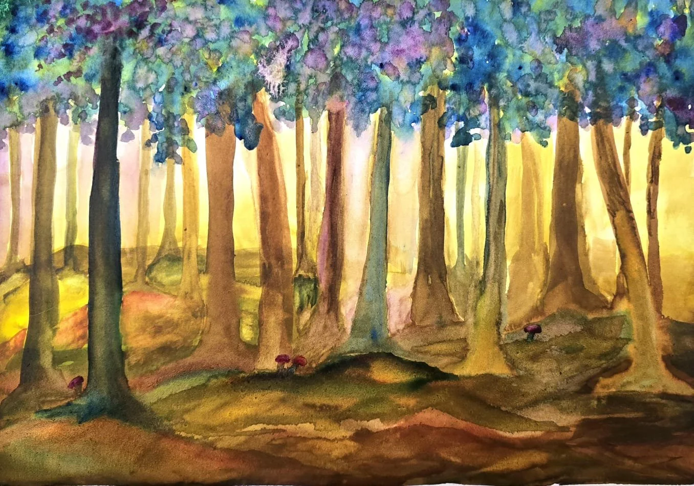 Bosco con alberi sparsi, luce che penetra tra le foglie e alcuni funghi nel sottobosco., come gnomi silenziosi...