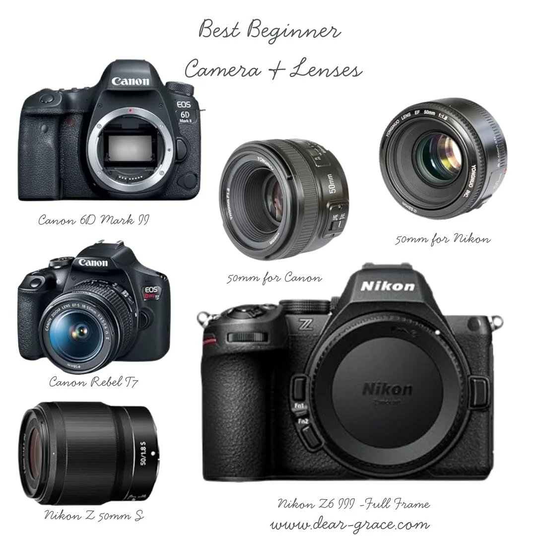 Best Beginner Cameras &amp; Lenses