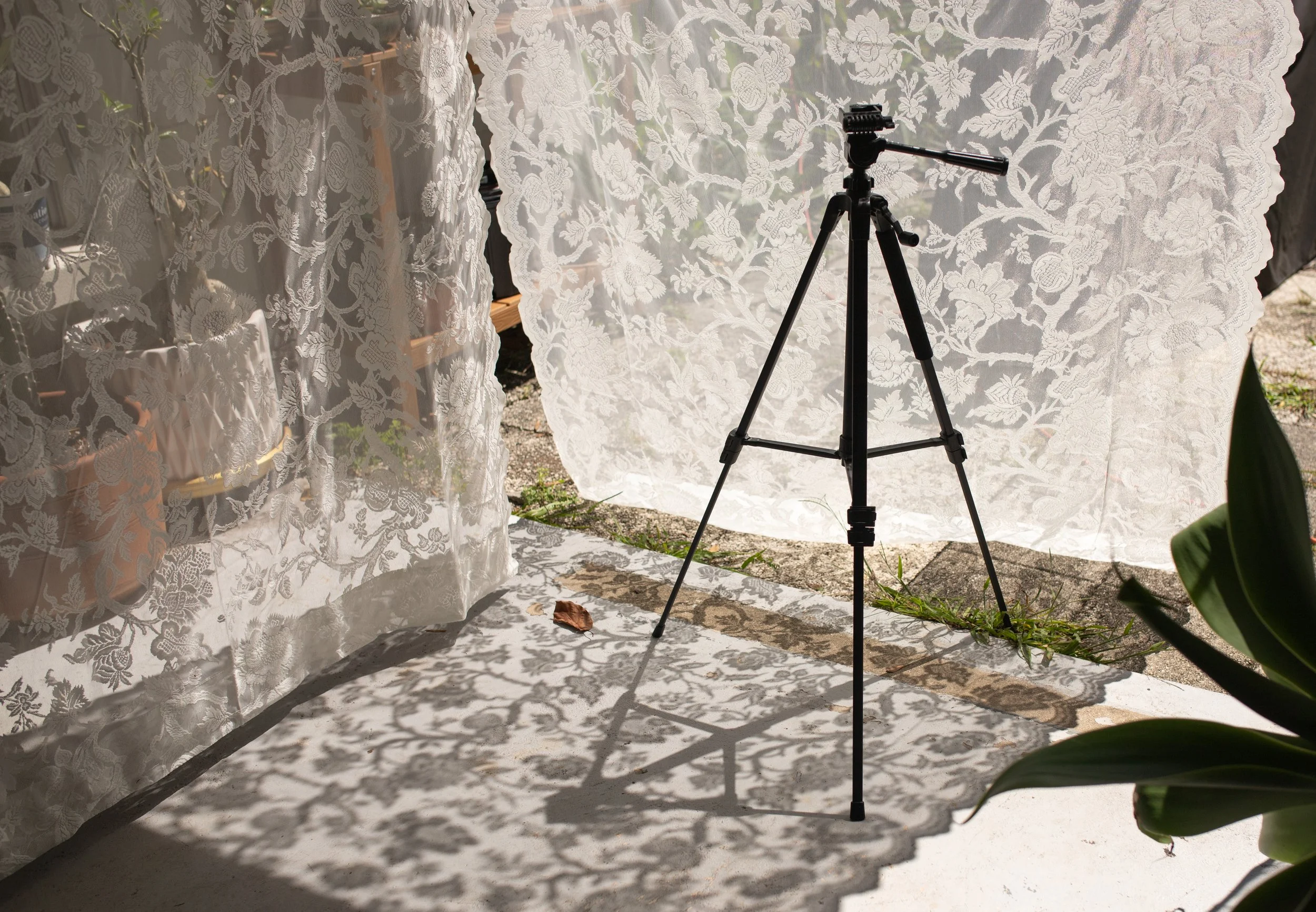 DIY: Self-Portraits Using Lace Curtains