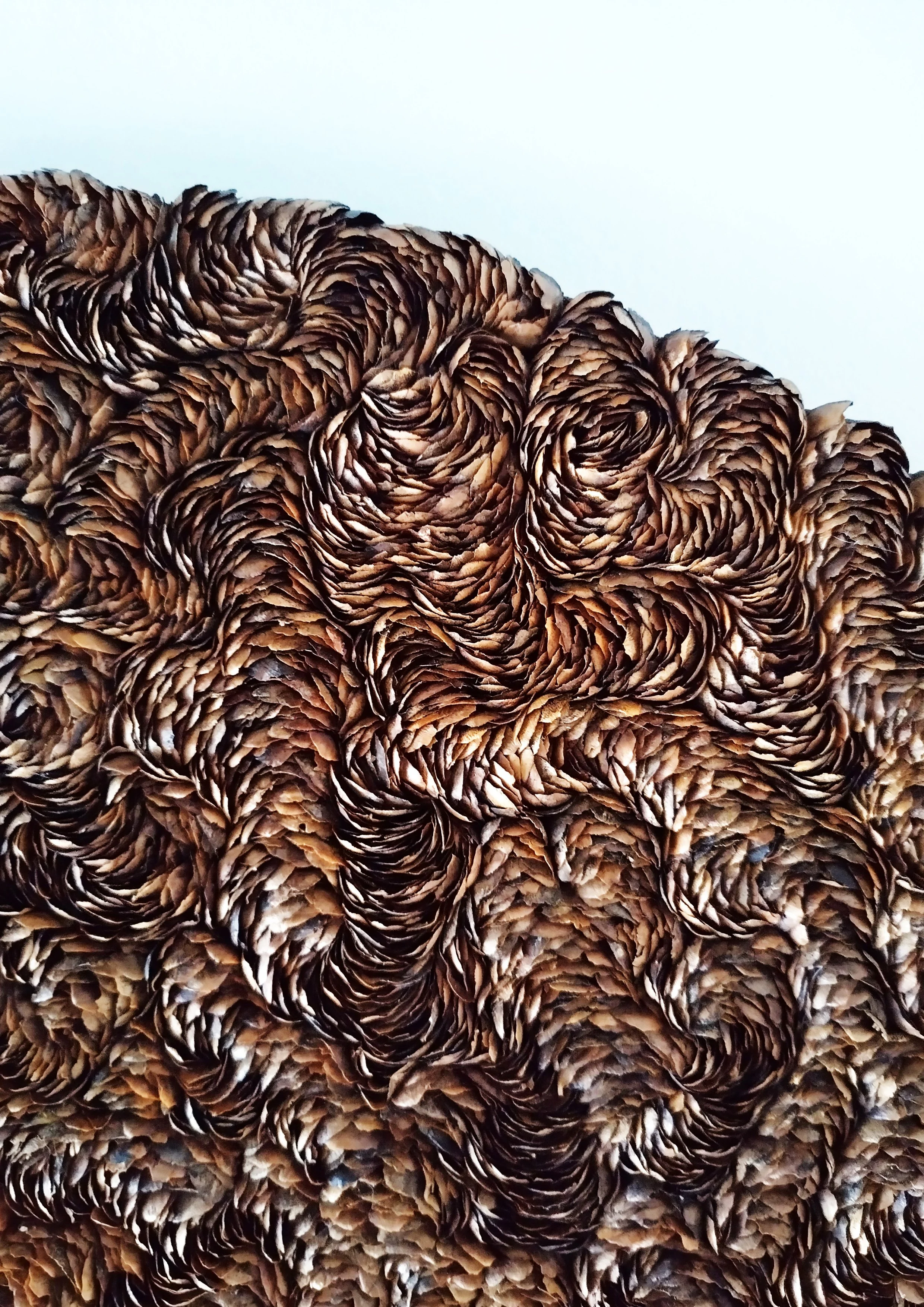 Kuusenkävyt materiaalina kokeilukurssi