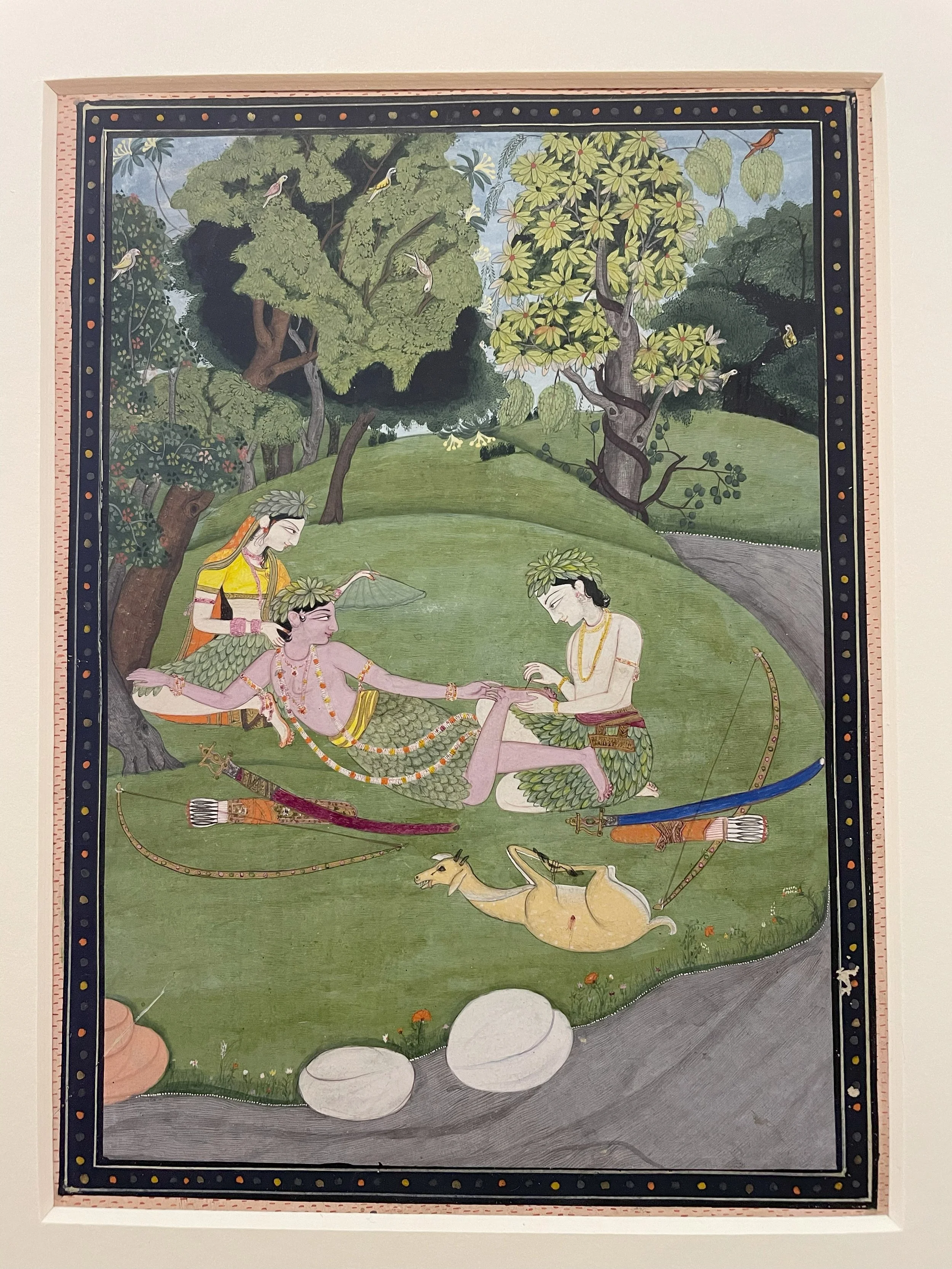Fitzwilliam Museum: The botanical world in Indian paintings