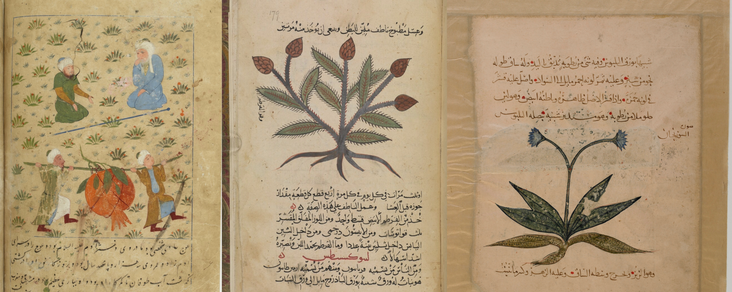 Cambridge University Herbarium