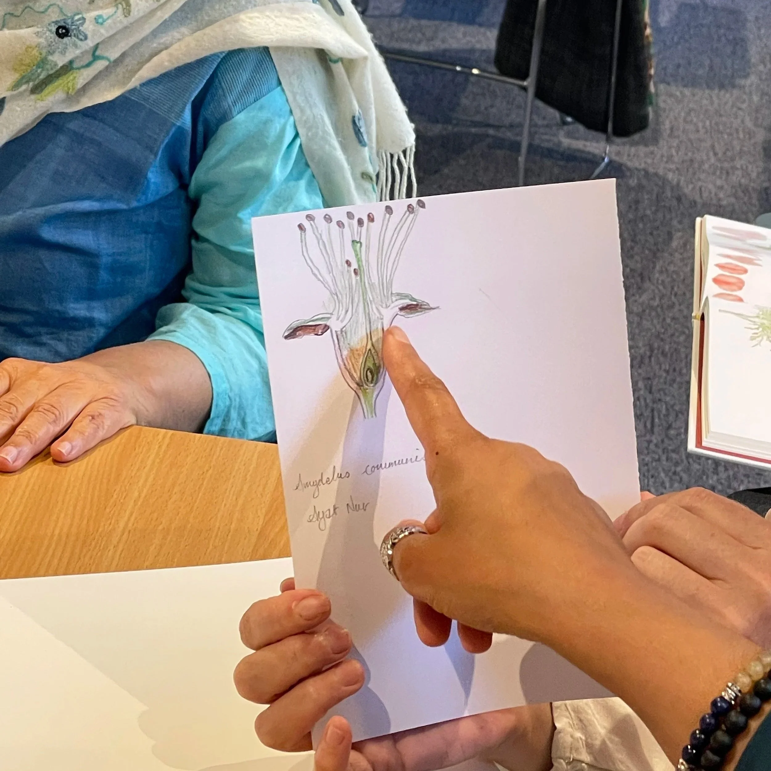 Plants of the Qur’an