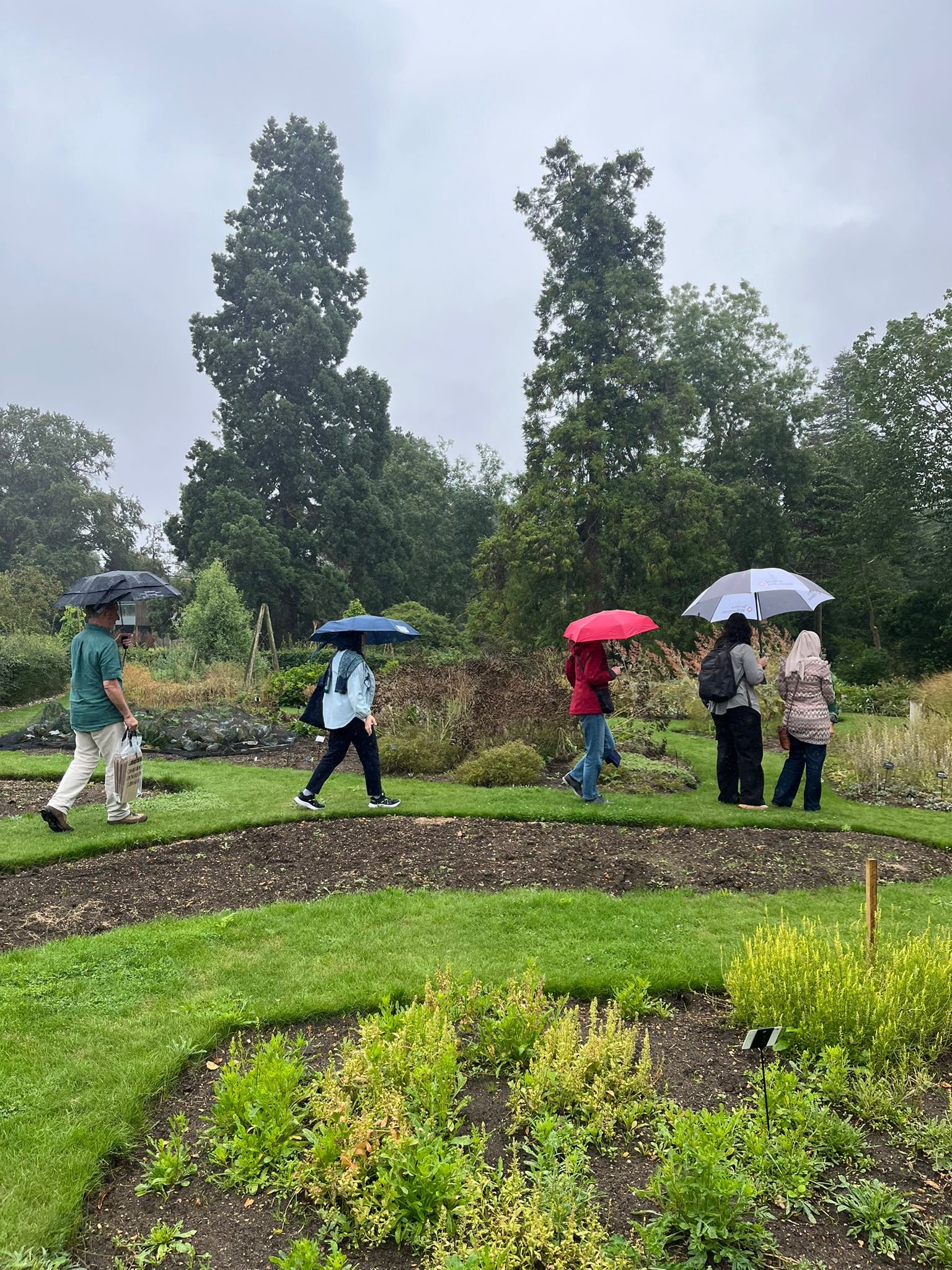 Cambridge University Botanic Garden