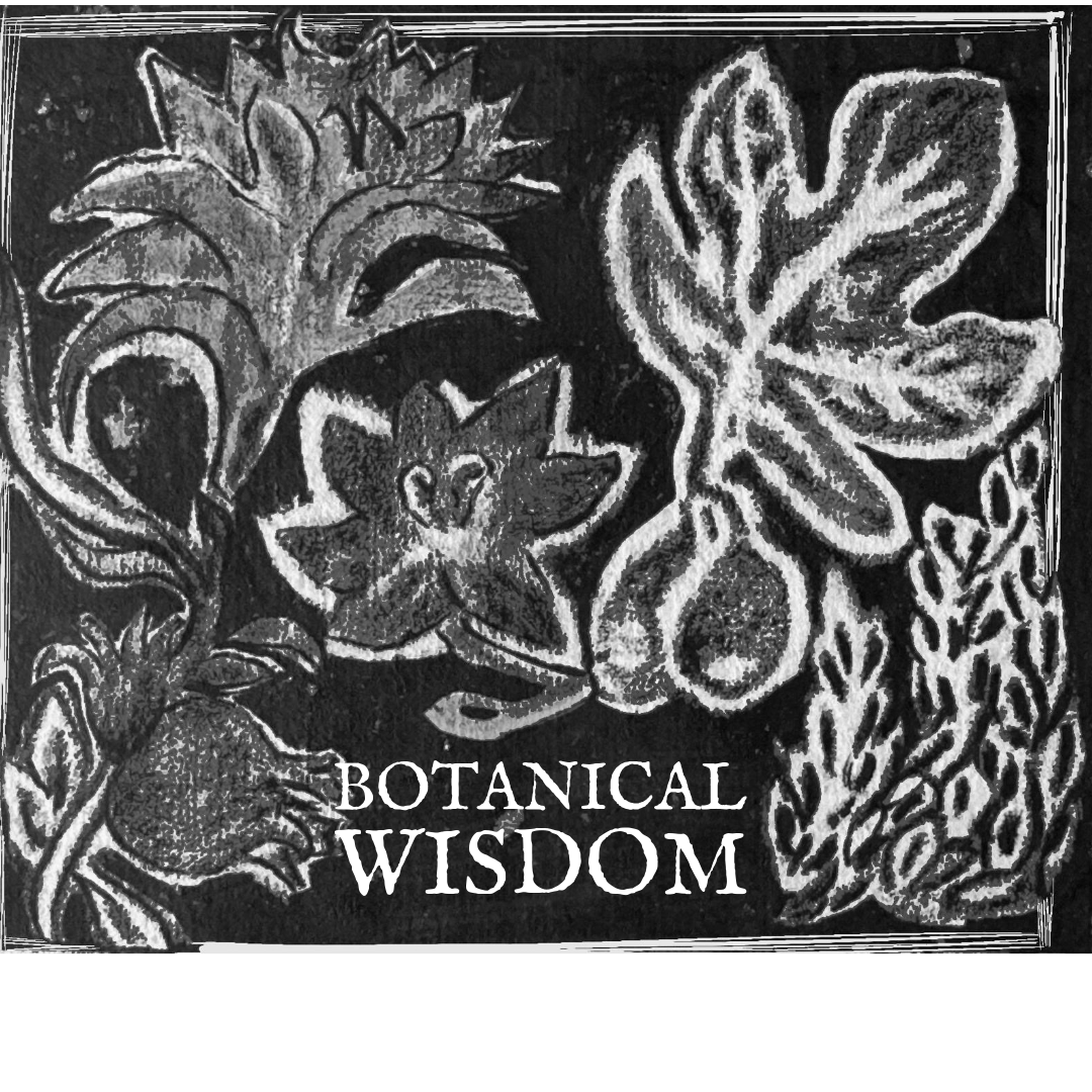 botanical wisdom