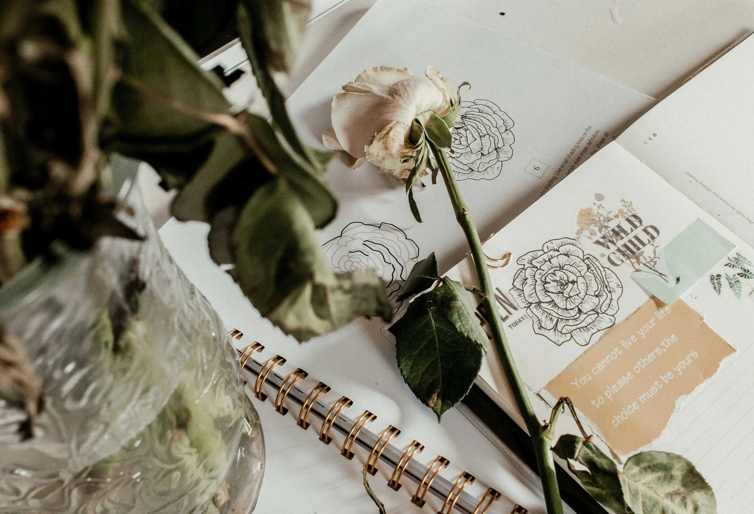 A desk with a jar of dried flowers, a white rose, and open notebooks with floral illustrations and inspirational quotes.