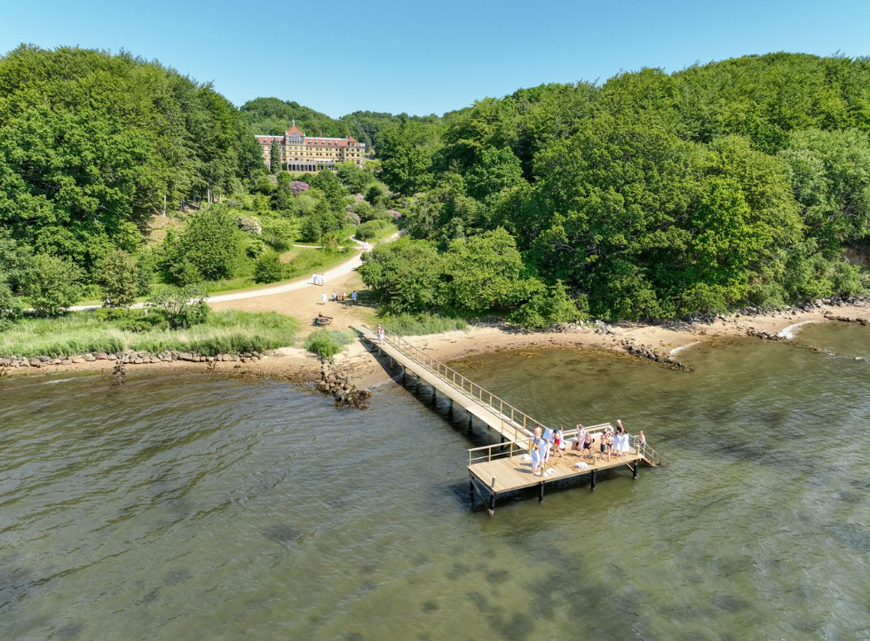 Skærmbillede 2026-02-17 224436.png