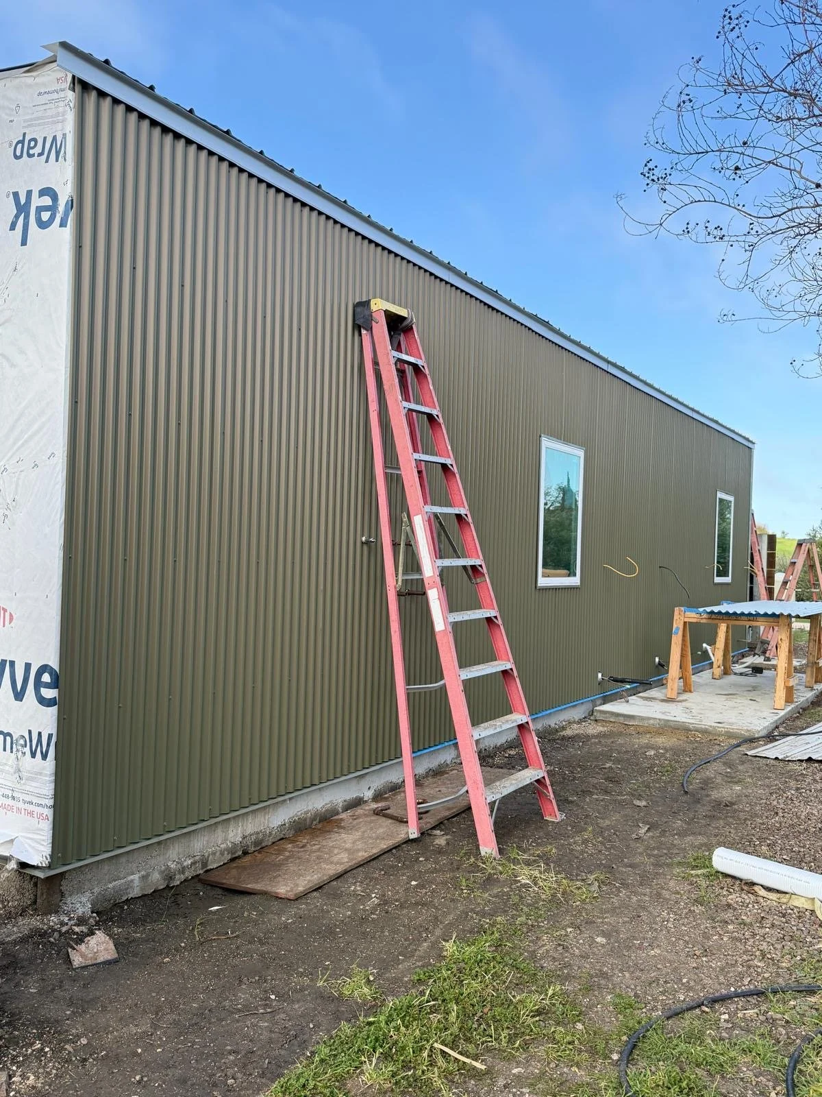 Modern wooden house with a large glass window, surrounded by yellow flowering plants and set against a mountainous landscape with gray peaks.
