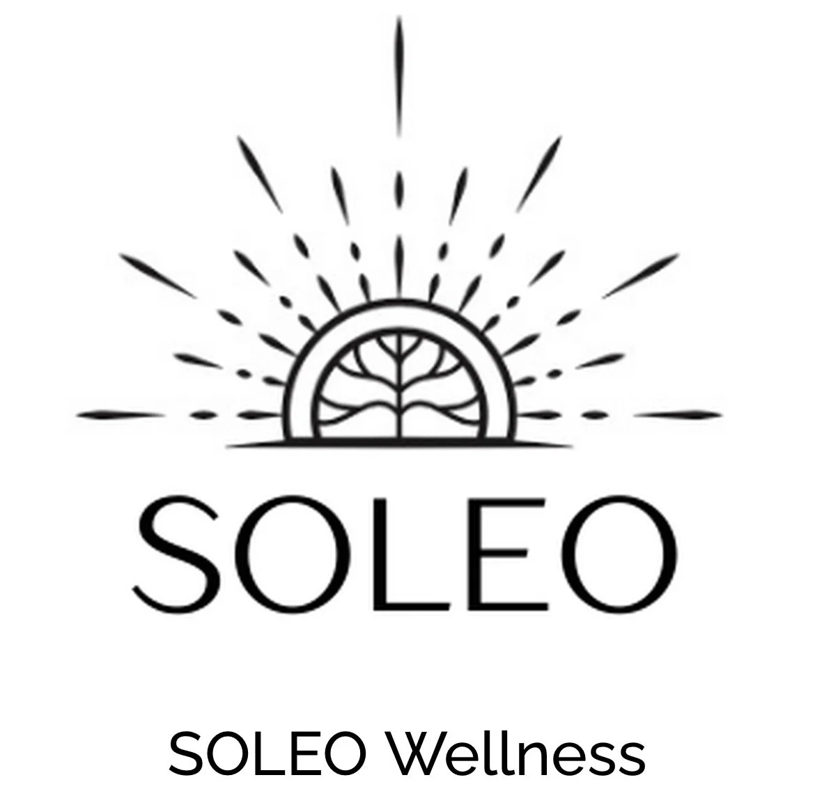 🌟 MEMBER SPOTLIGHT 🌟 

Meet SOLEO Wellness @soleowellness 

SOLEO supports women from preconception through postpartum with compassionate, integrative care. Our services include day treatment (IOP/PHP), outpatient therapy, and support groups. Our c