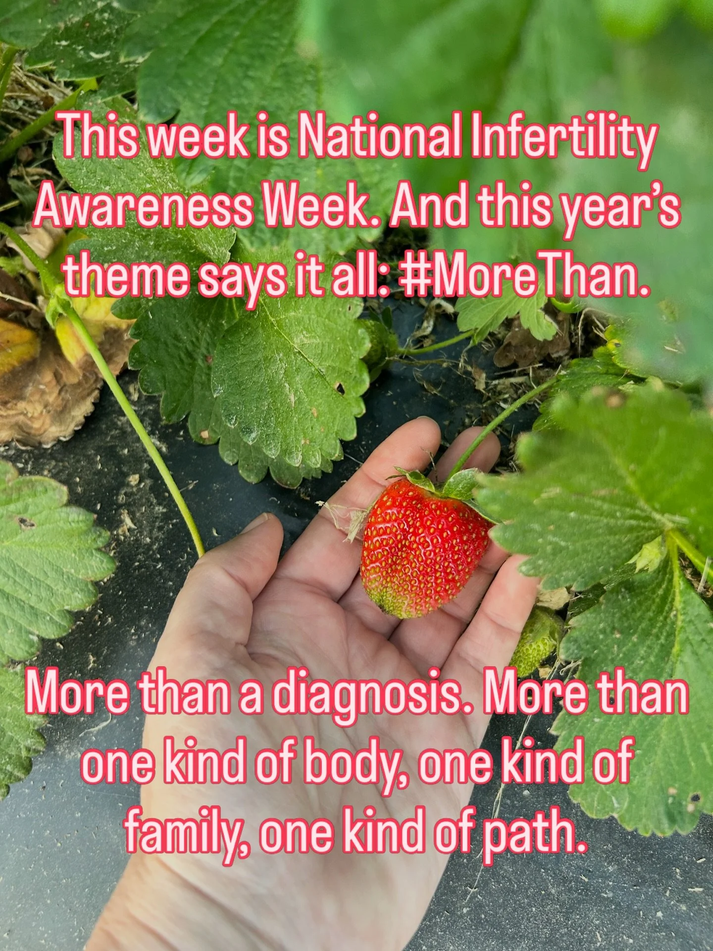 This week is National Infertility Awareness Week. And this year&rsquo;s theme says it all:

 #morethan 

More than a diagnosis. More than one kind of body, one kind of family, one kind of path.

One in six people worldwide are navigating infertility,