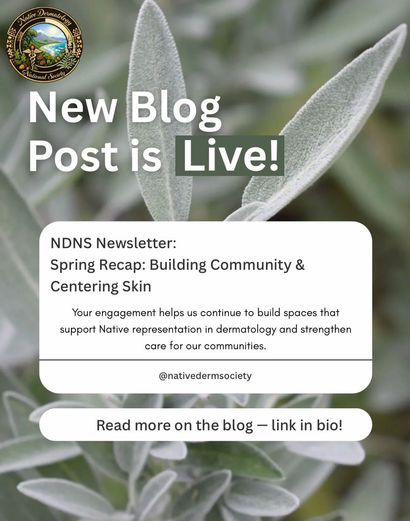 Good Morning ☀️! We have released our newest blog post! Take some time to see what NDNS has been up to and how you can get involved! 

Make sure you are signed up for our Newsletter. Link in Bio 🪶🌱🗞️