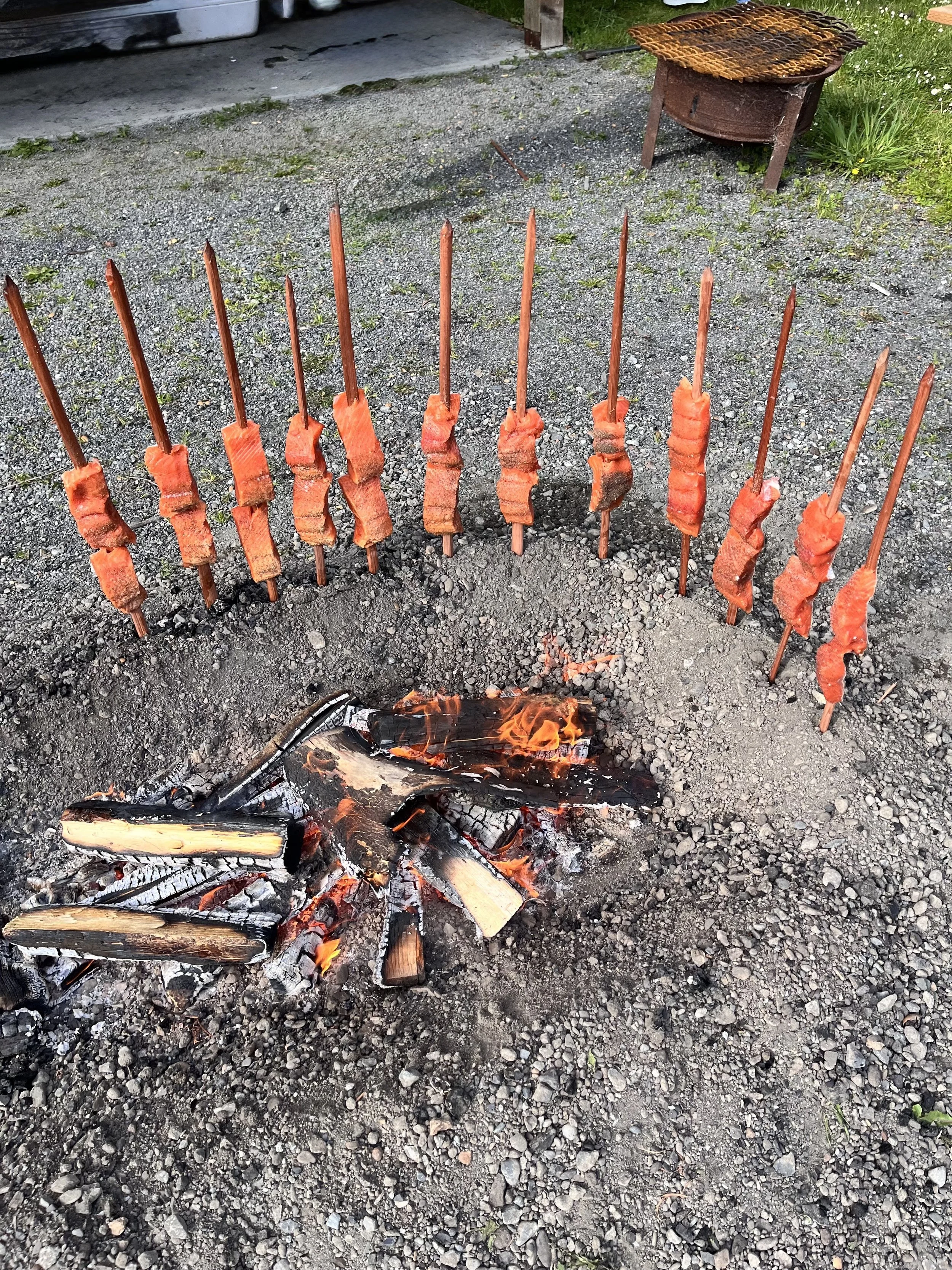 Traditional Klamath salmon on cedar sticks 