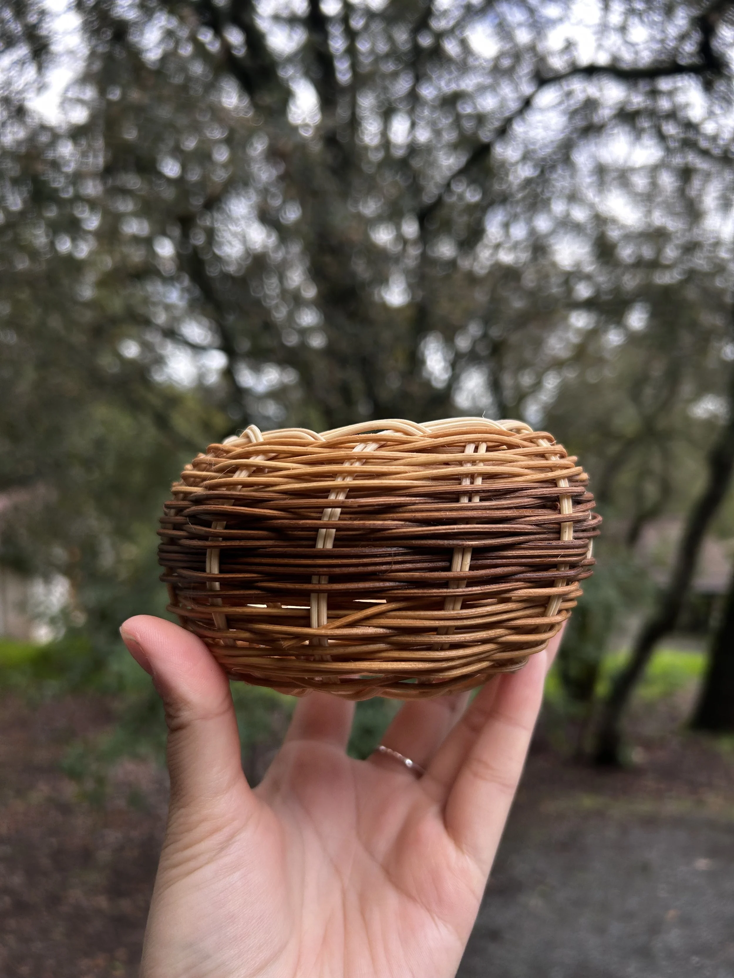 Cherokee Style basket with natural dyes