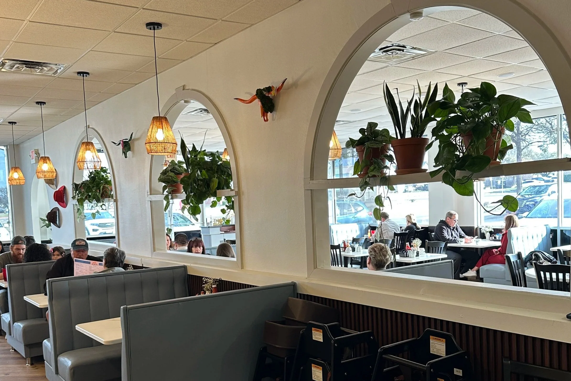 Interior plants styled throughout a Fort Worth restaurant as part of a commercial interior plant design.