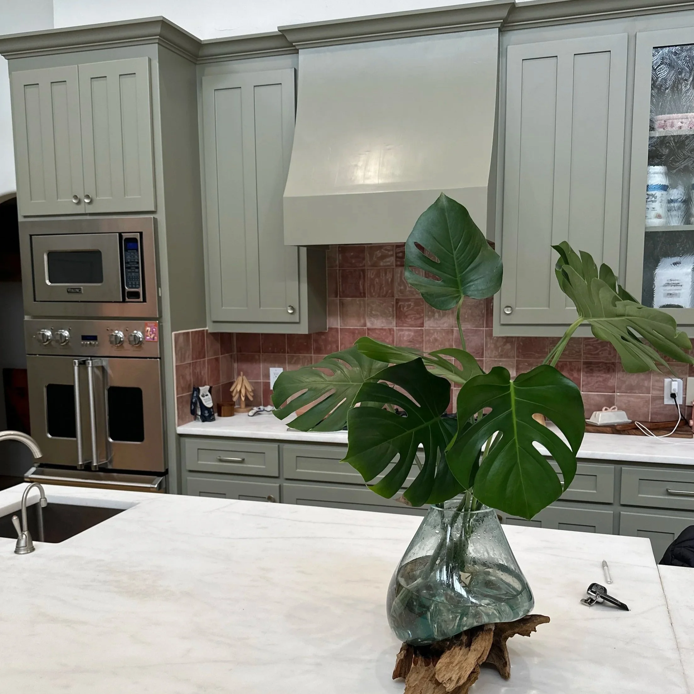 Minimal plant styling with monstera cuttings on kitchen island in Fort Worth home
