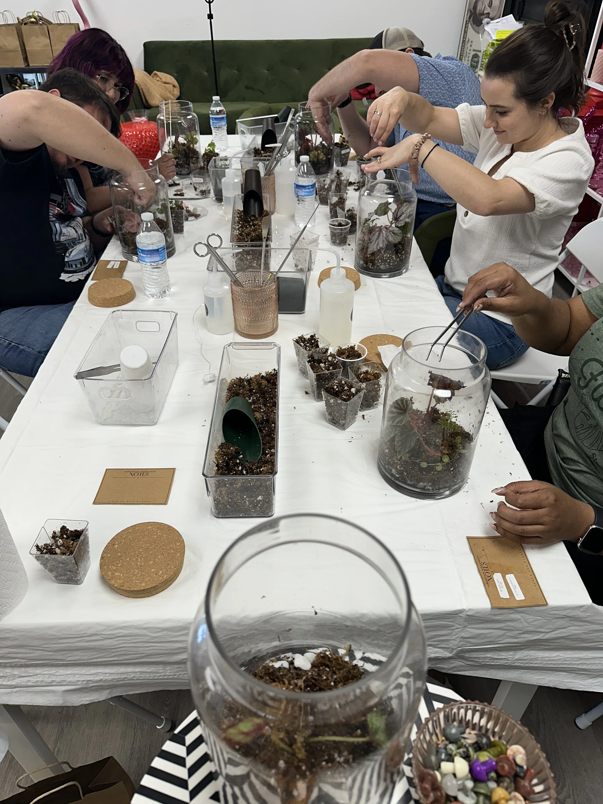 Participants building unique terrariums during a hands-on plant workshop in DFW