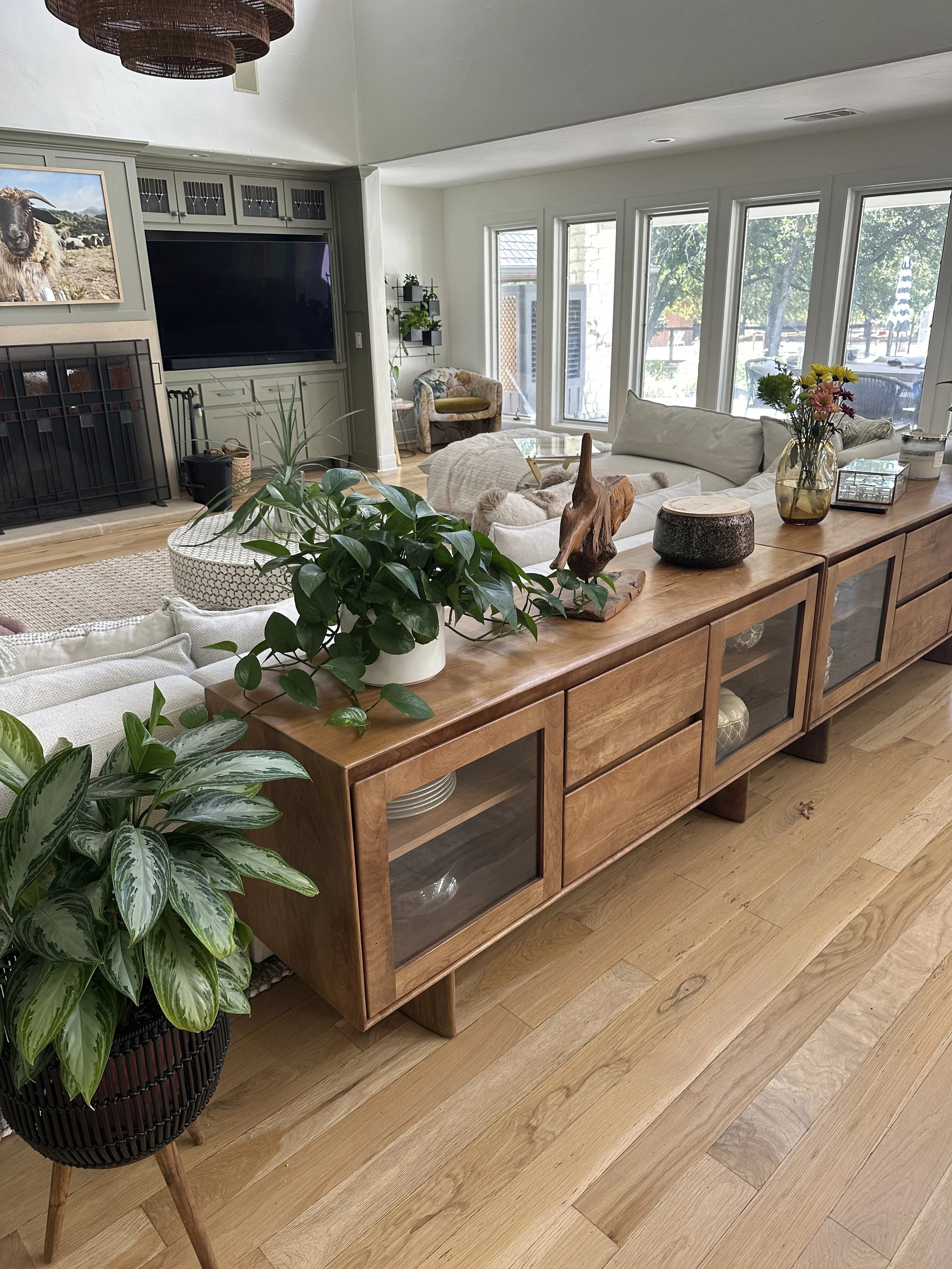 Residential interior plant design in a Fort Worth home with thoughtfully placed houseplants styled throughout the living space.