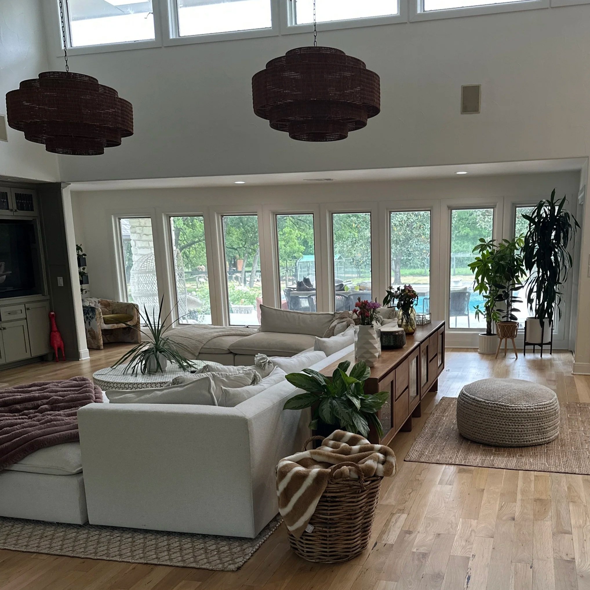 Interior plant styling in a modern Fort Worth living room with large windows and curated greenery