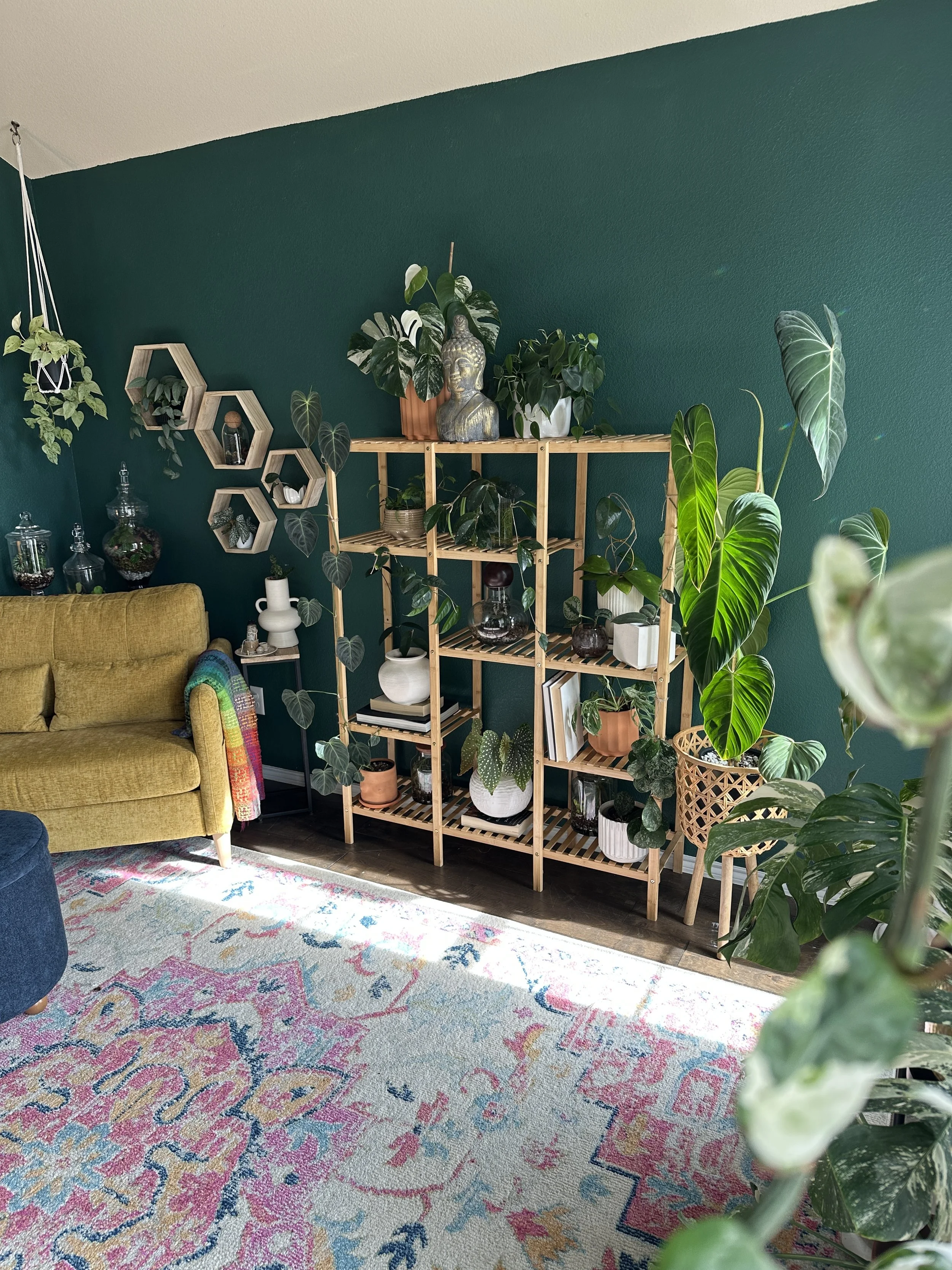 Plant-filled living room with layered greenery, natural wood shelving, and a deep green accent wall showcasing the emotional warmth and calming impact of biophilic interior design.