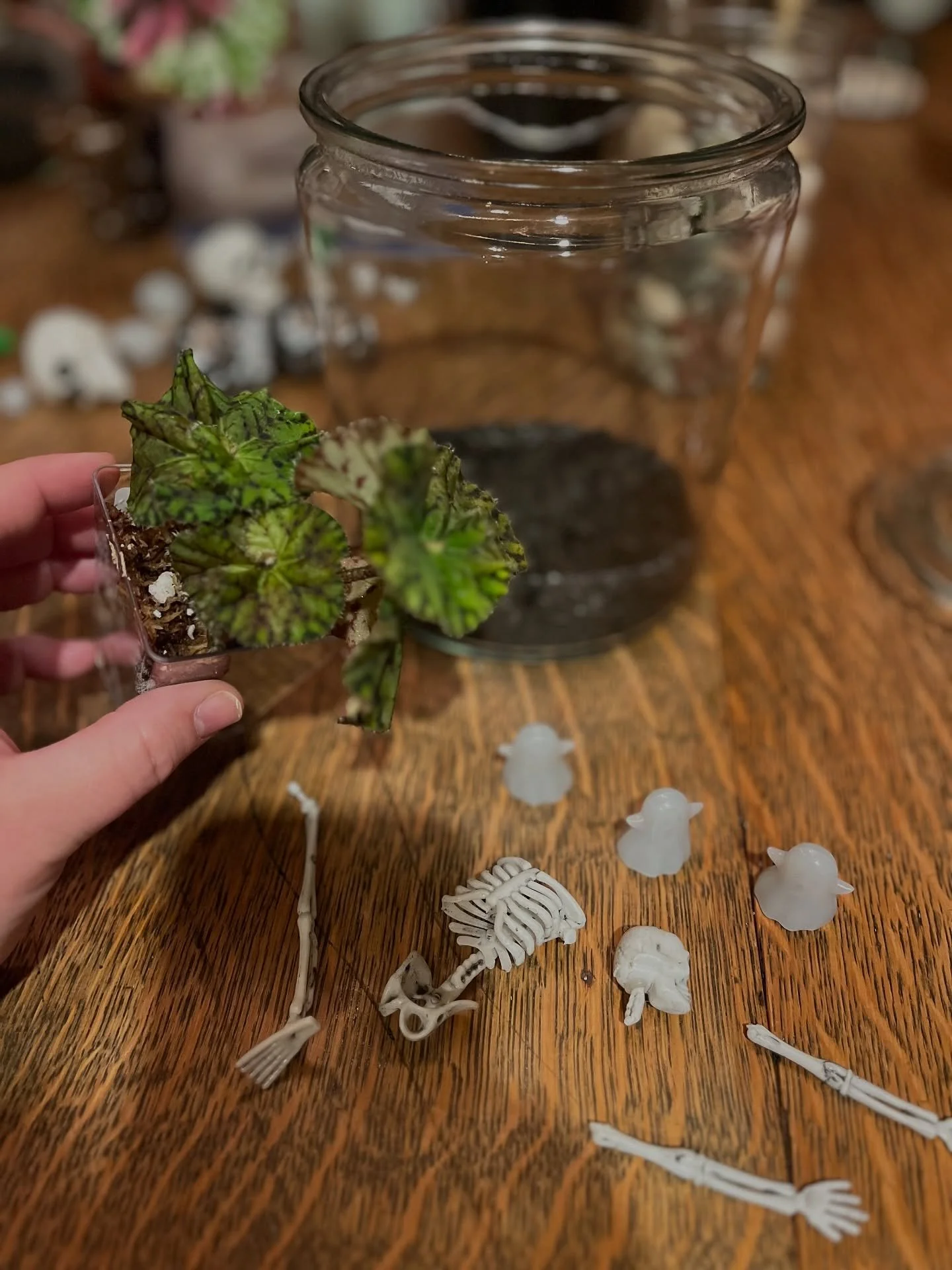 A little terrarium night with friends 💚
There&rsquo;s something so calming about sitting around, creating, laughing, and watching everyone&rsquo;s personalities show through their builds. 🌿✨

I love that these kinds of gatherings can be both relaxi