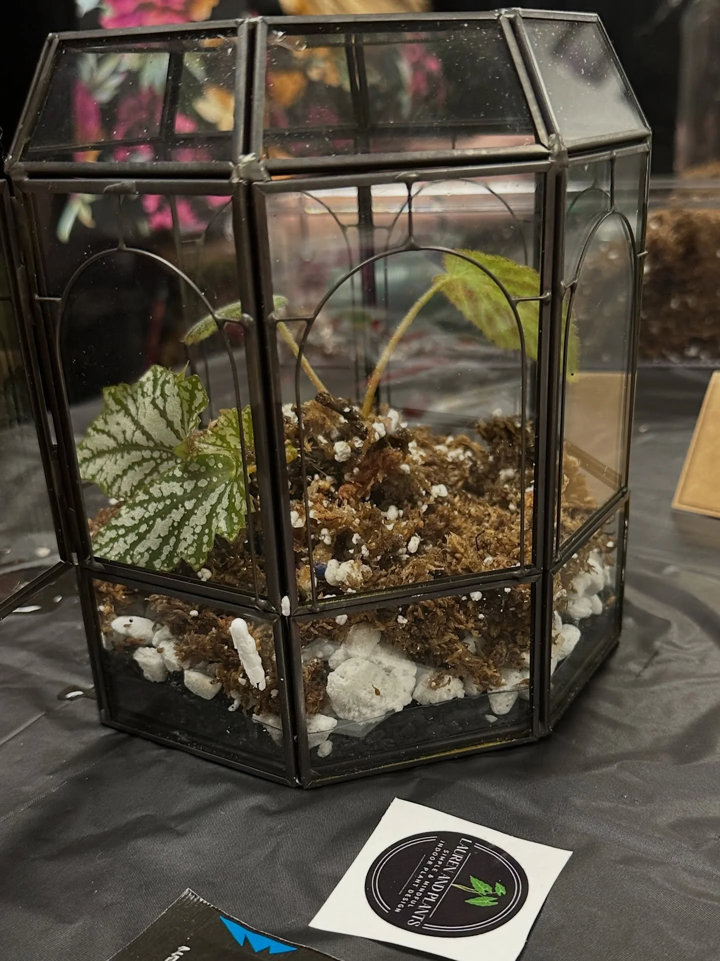 Yesterday&rsquo;s terrarium workshop was such a beautiful time. 🌿✨
It was so fun watching everyone&rsquo;s creations come to life! Each one so unique and full of personality! I&rsquo;m so grateful for the time spent together, meeting new people, the