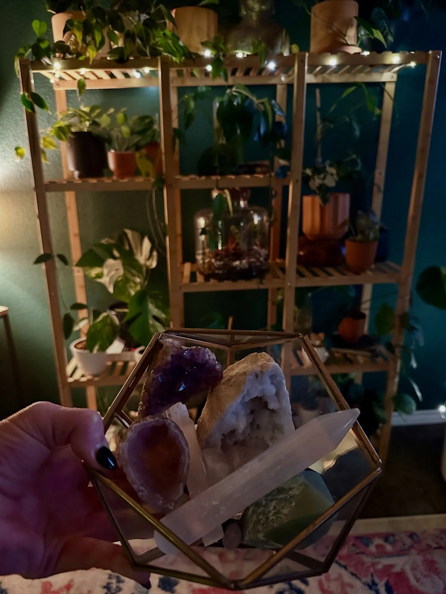 This is your full moon reminder 🌕

Take a quiet moment to breathe, reflect, and release what no longer serves you. Let her light remind you that growth and stillness can exist together.

Set your crystals out, water your plants, or simply sit in gra