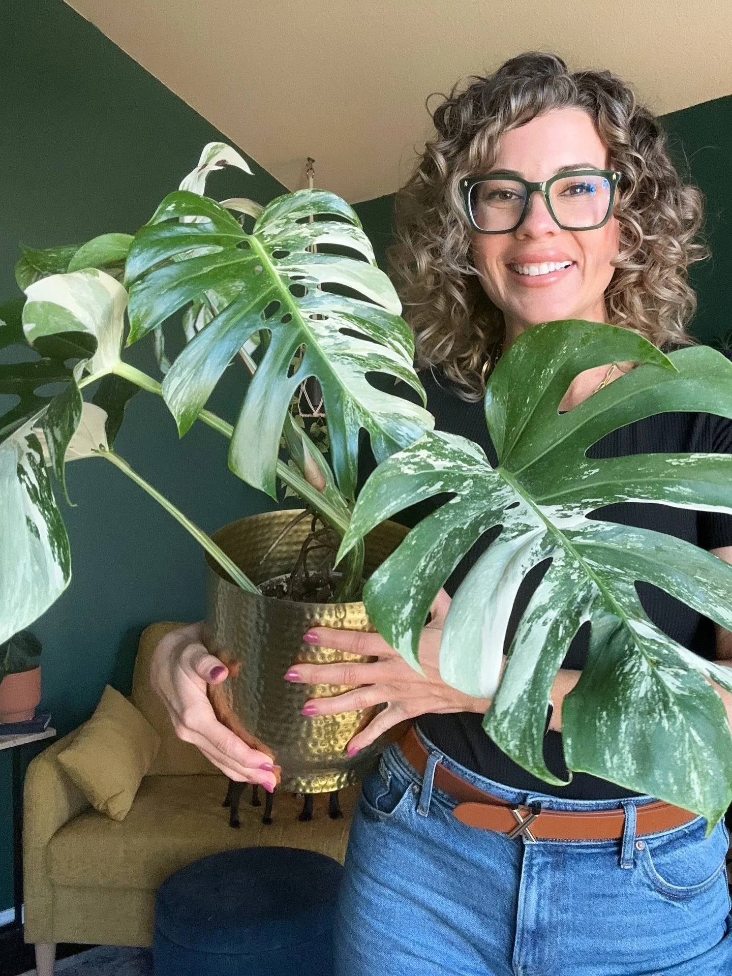 My Monstera Albo just got a fresh repot, and she&rsquo;s already rewarding me with a beautiful new leaf! There&rsquo;s nothing like seeing a happy plant thriving after a little extra TLC.

I offer repotting and maintenance services locally, and virtu