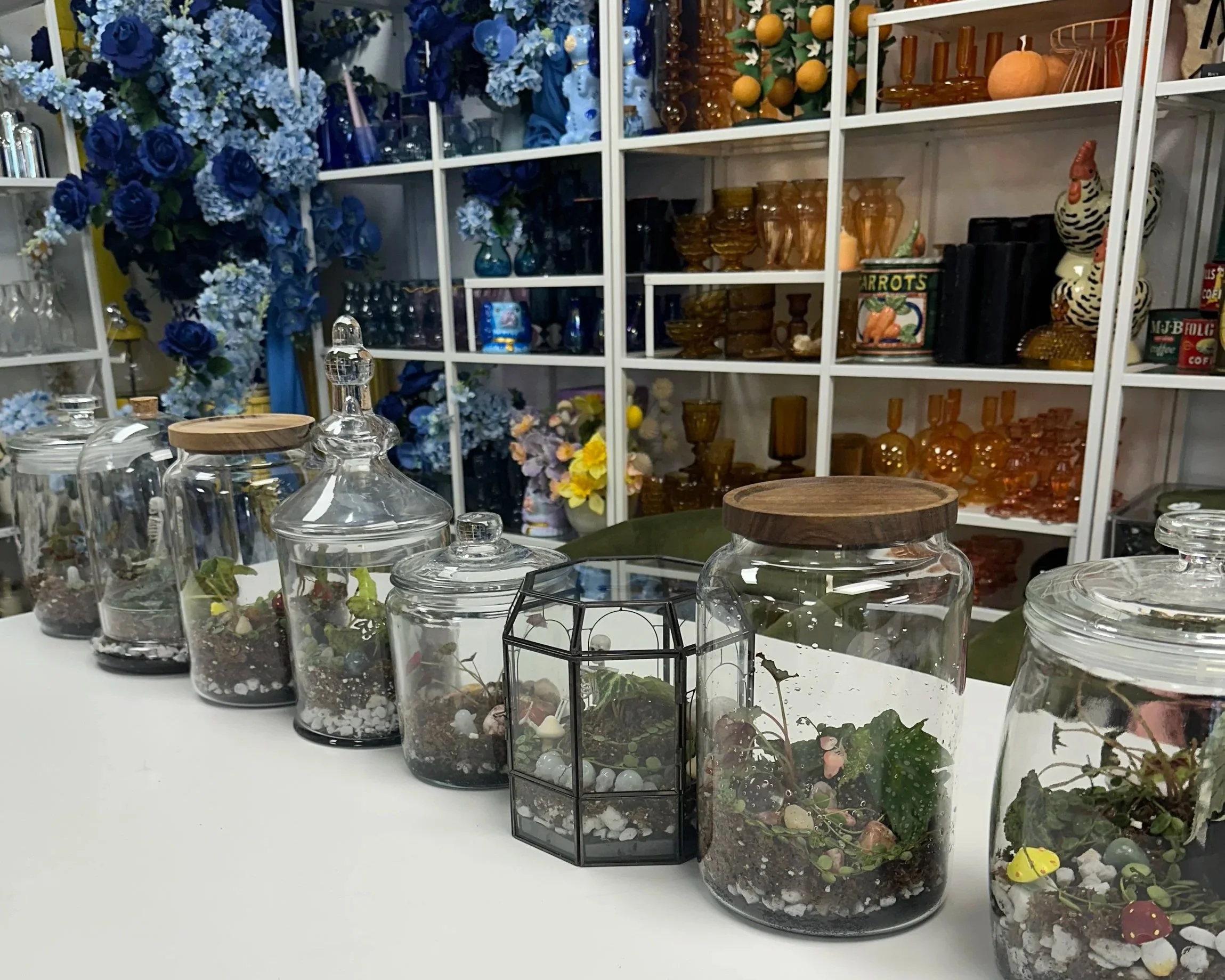 Grounded in Gratitude: How Terrariums Bring Calm Before the Holidays