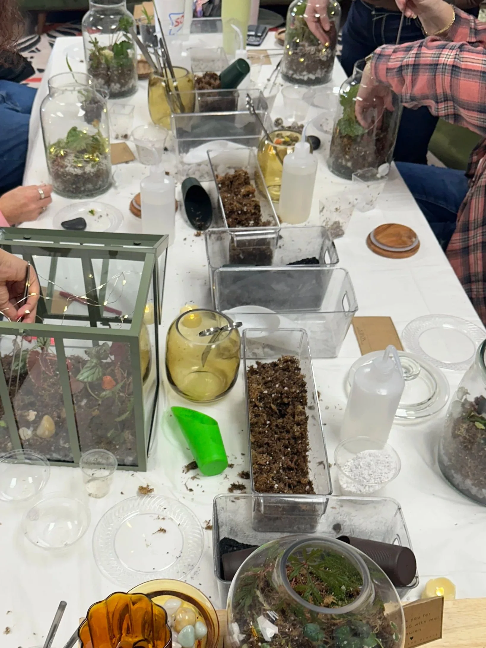 Terrarium Workshops: Creative, Grounding, and Built to Last