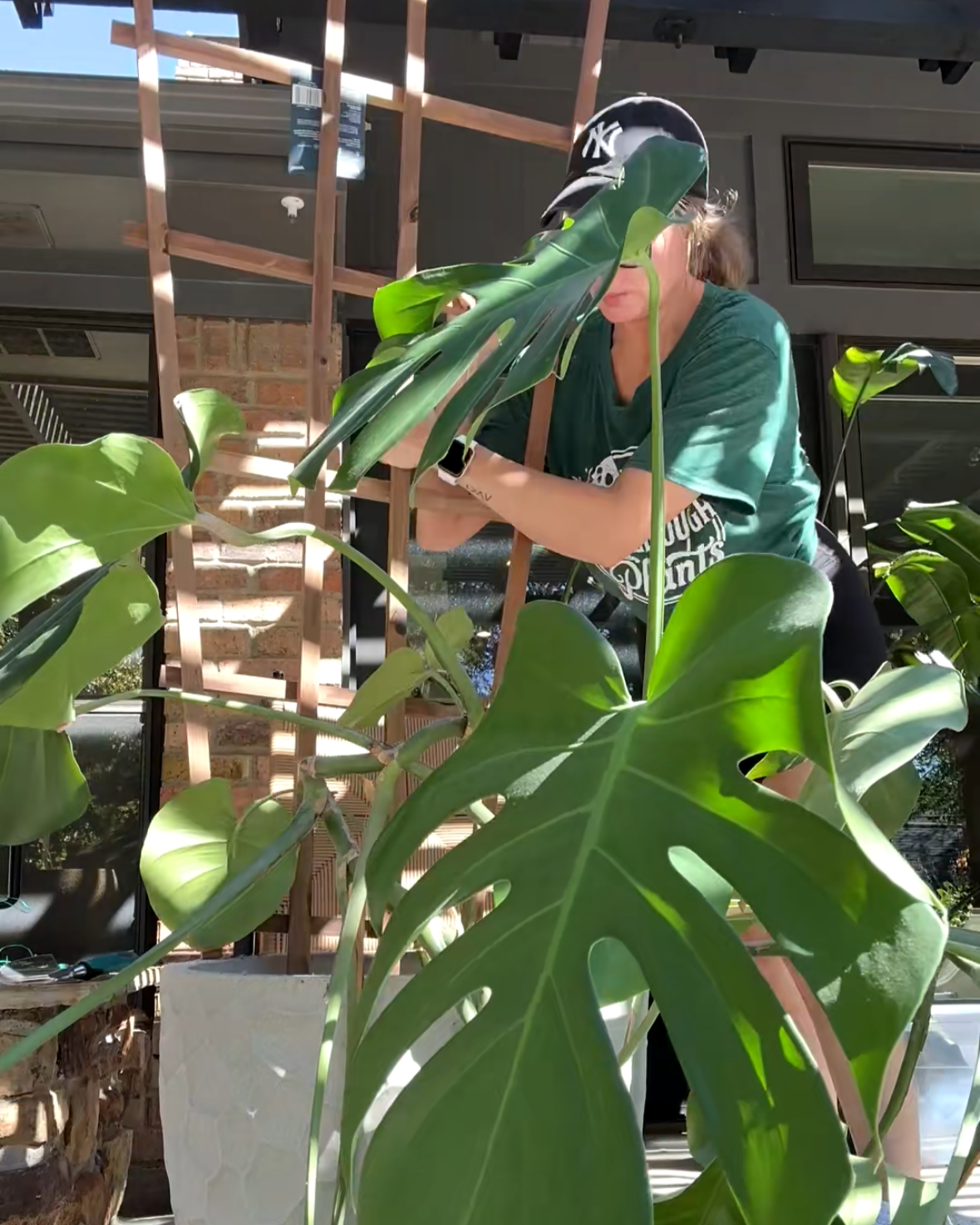 Professional Plant Maintenance in Fort Worth: What’s Included and Who It’s For