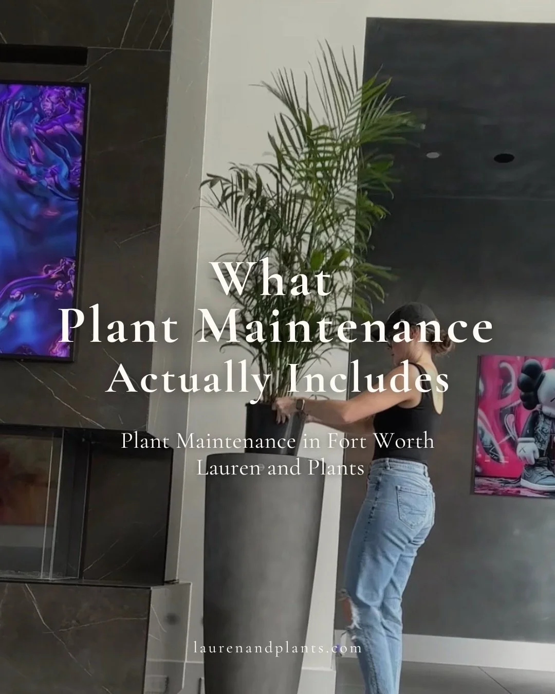 Plant maintenance is about more than just watering.

It&rsquo;s thoughtful, ongoing care that helps plants truly thrive long-term, not just make it through the week.

My plant maintenance services include adjusting watering routines, cleaning leaves,