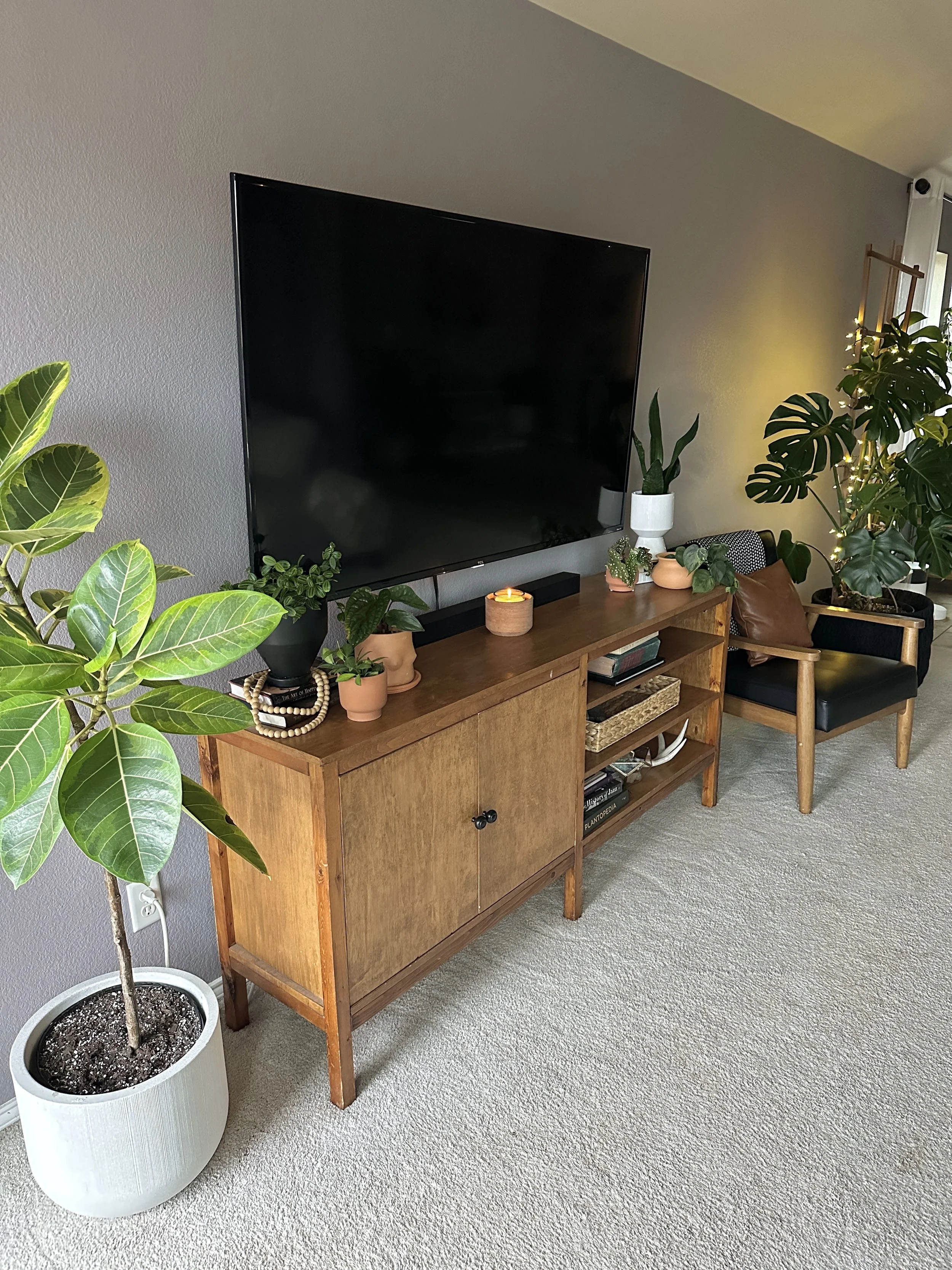 Plants Are the Icing on the Cake