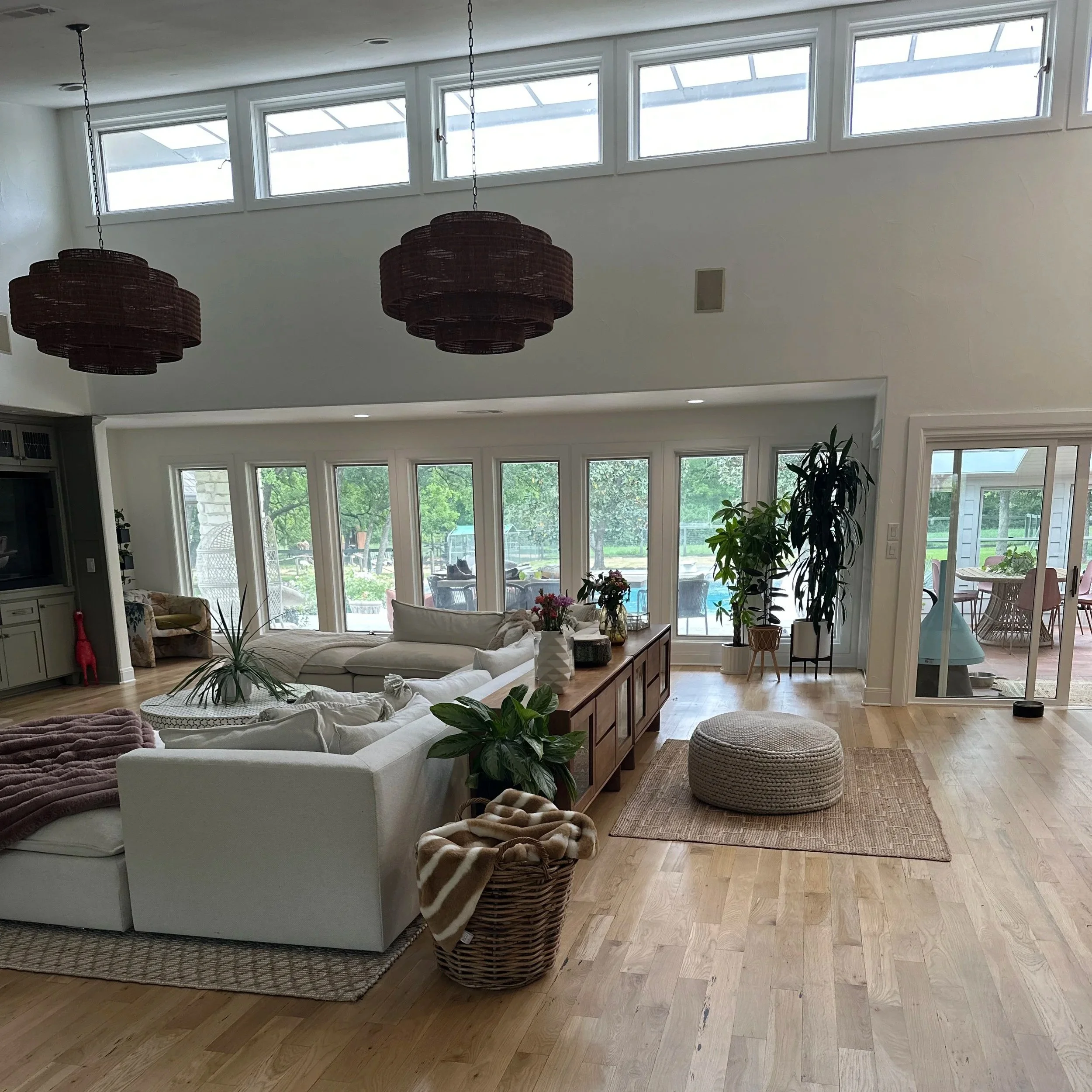 Interior Plant Design in Fort Worth: Transform Your Space with Plants That Actually Thrive