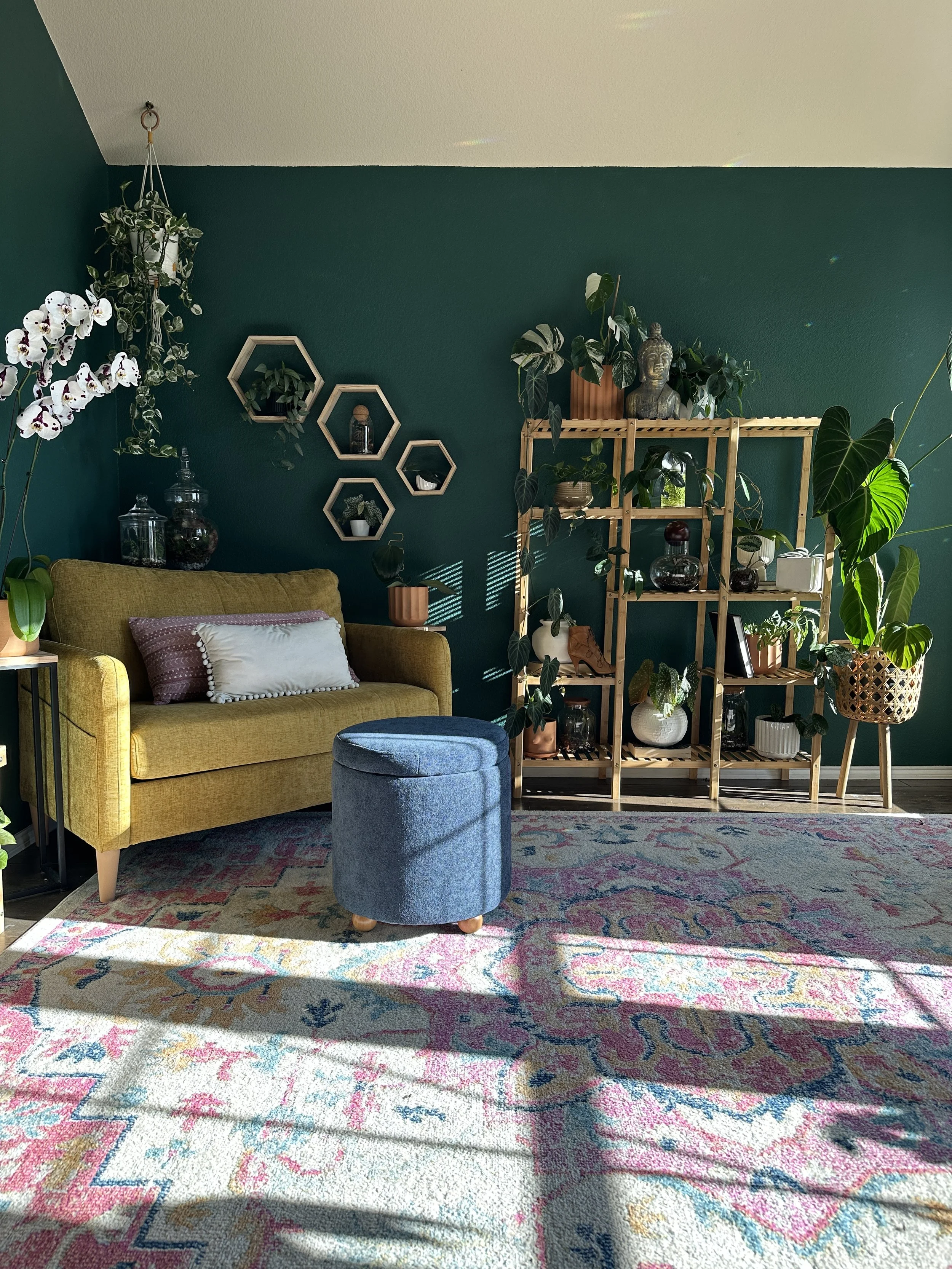 5 Plant Problems I Fix Most Often in Fort Worth Homes