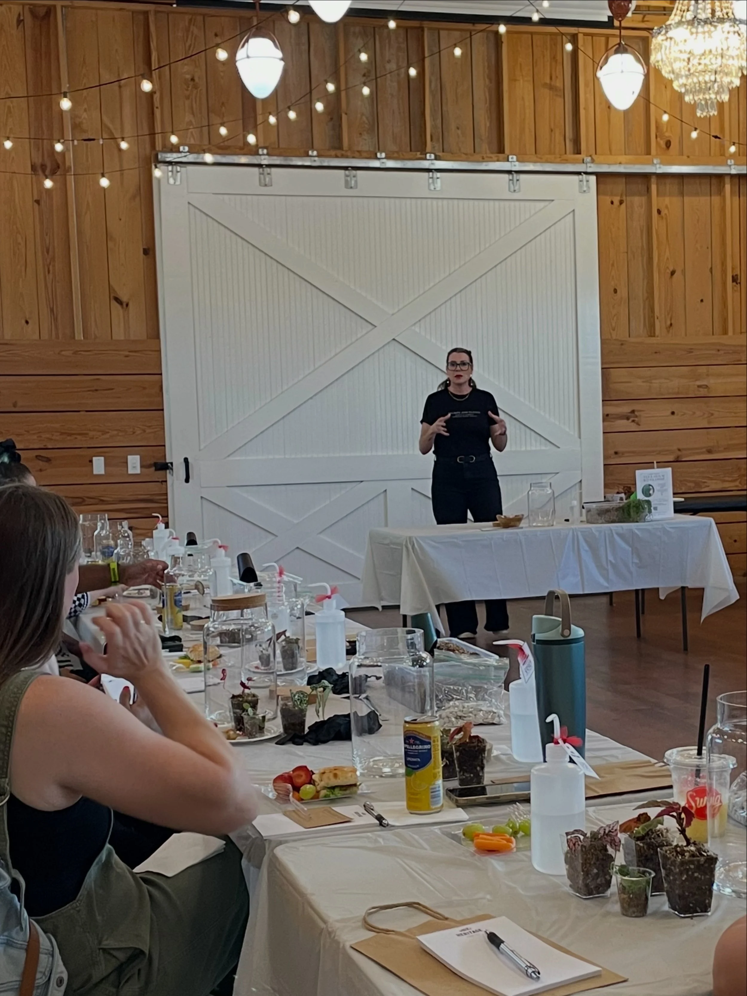 Bringing People Together Through Plants: Community Workshops Across DFW