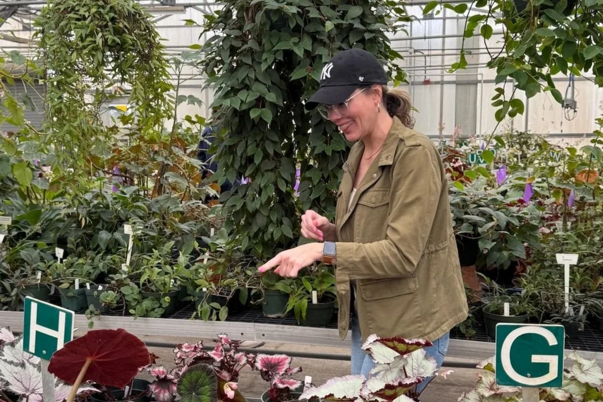 Choosing the right houseplants starts long before they arrive in your home.