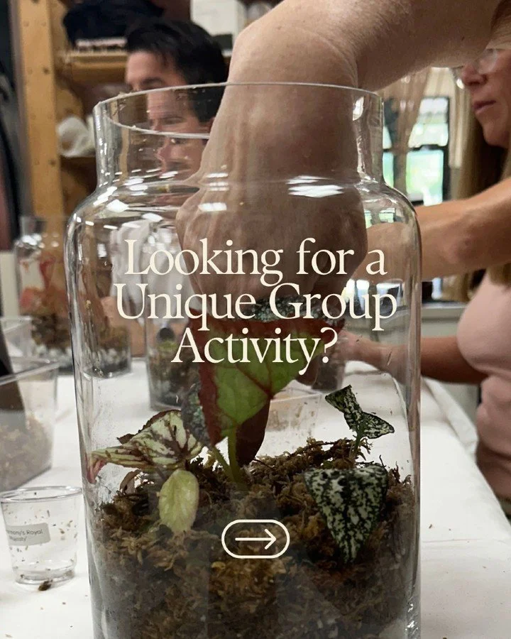 Over the past year, we've had the privilege of hosting terrarium workshops for birthday parties, corporate team building events, community organizations, client appreciation events, and private gatherings across Fort Worth and the DFW area.

Every wo