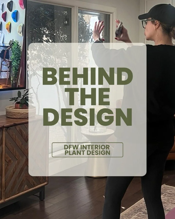 Great interior plant design starts long before the first plant is placed.

Every project begins by studying the space, understanding the client's lifestyle, and creating a collection that feels intentional. Plant selection isn't one size fits all. Th