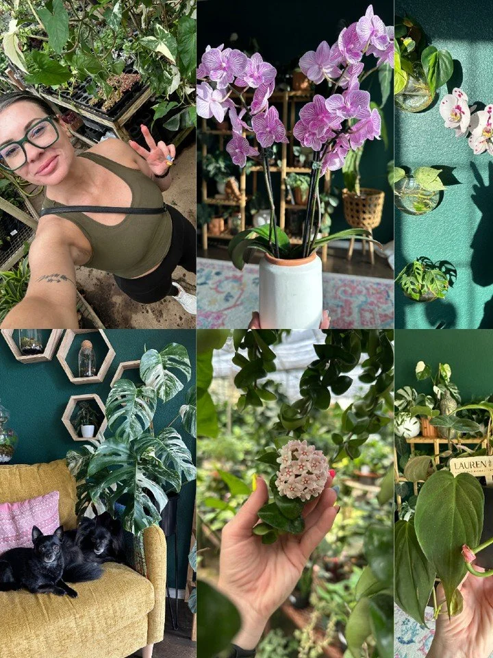 Life lately. 🌿

A little bit of everything. Plants, pretty spaces, gym days, coffee, exploring, and a business that's keeping me busy in the best way.

I'm trying to get better at slowing down and appreciating these little moments instead of always 