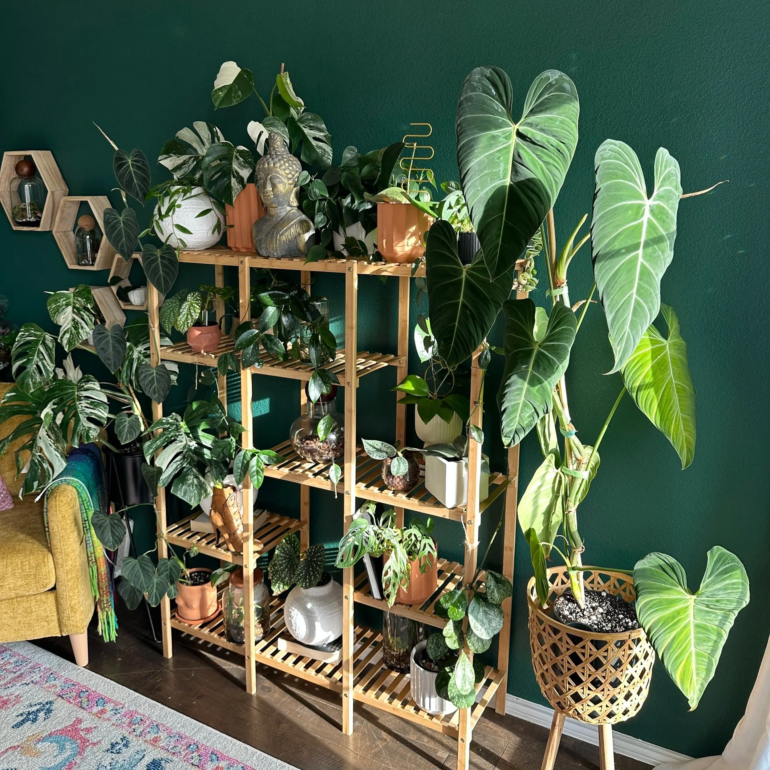 7 Mistakes People Make When Decorating with Houseplants