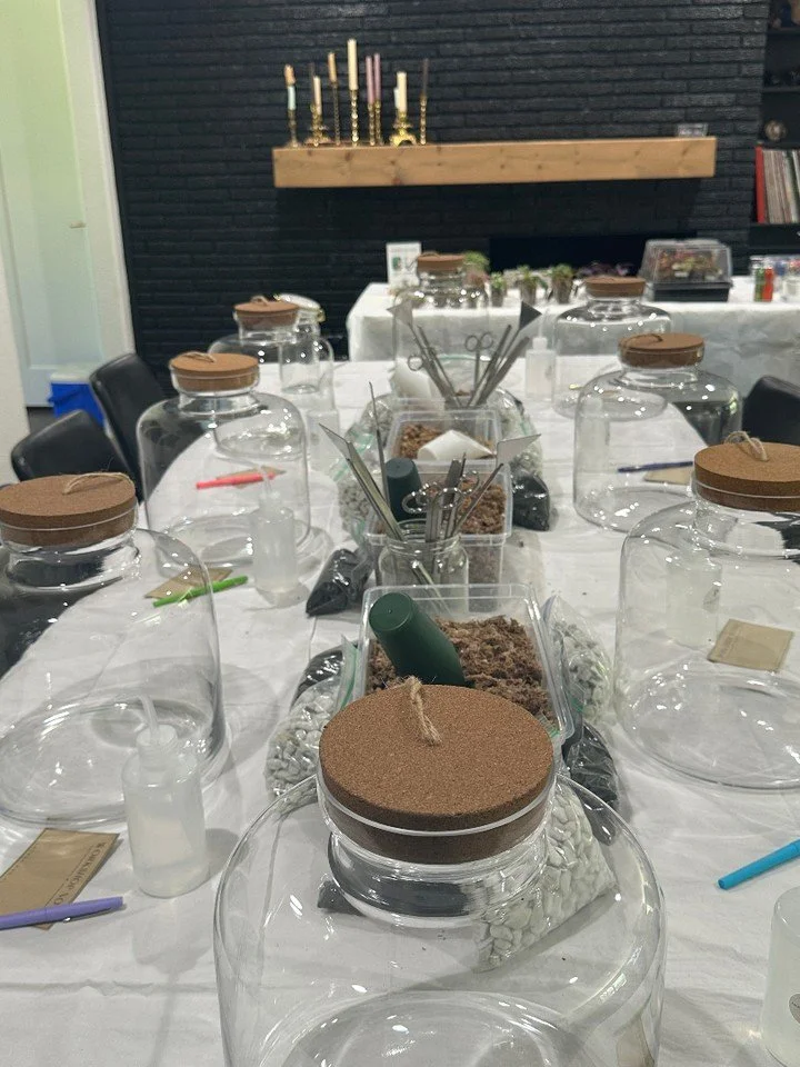 🌿 Looking for a fun way to celebrate with friends or family?

A private plant workshop is more than just an activity. It&rsquo;s a chance to slow down, get creative, and make memories together. Whether you&rsquo;re celebrating a birthday, hosting a 
