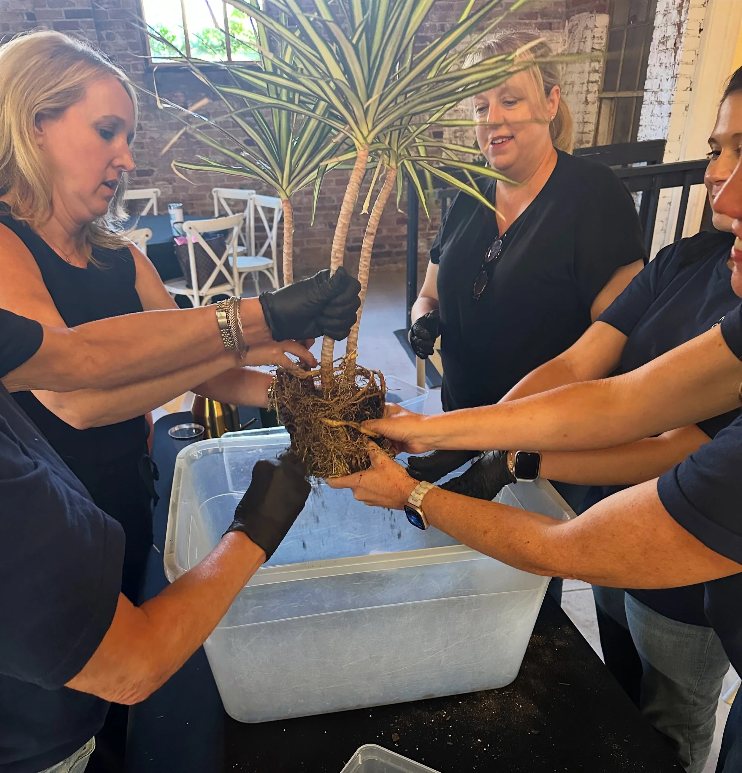 What&rsquo;s better than team-building with plants?!

Getting your hands dirty together makes it even better. 🌱