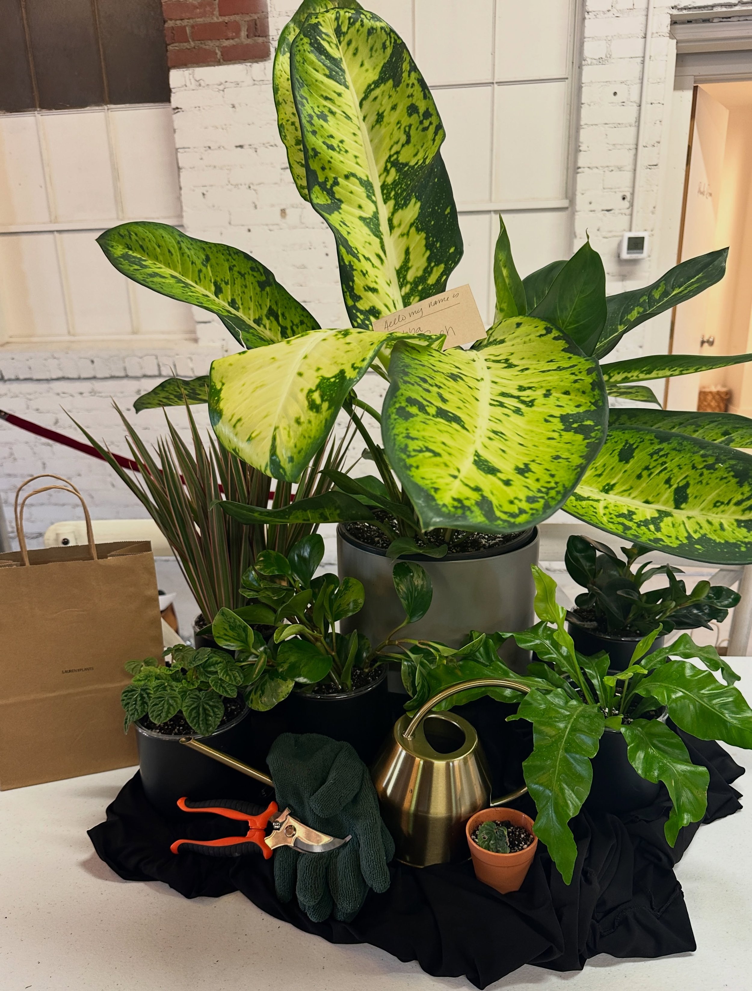 One of my favorite parts of our repotting workshop was seeing what each group came up with. 🌿

I loved how this group incorporated the watering can, shears and gloves into their plant display. So fun!!