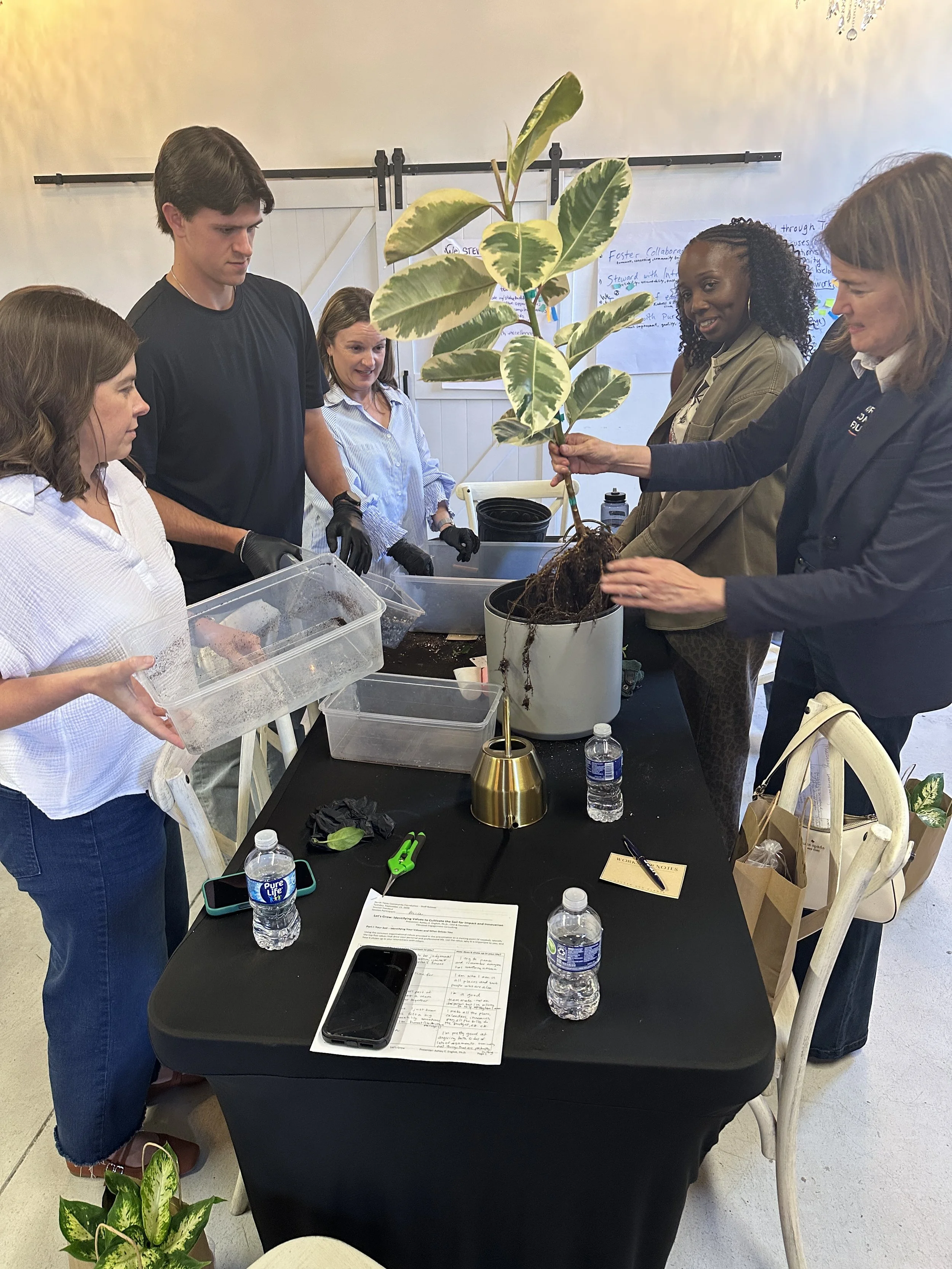 Holiday Team Building in DFW: Host a Plant Workshop Your Team Will Actually Enjoy