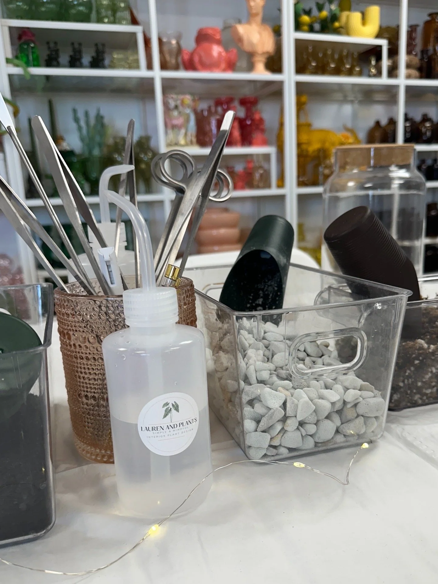 Terrarium workshop tools including scissors, substrate, and plant care materials for hands-on class