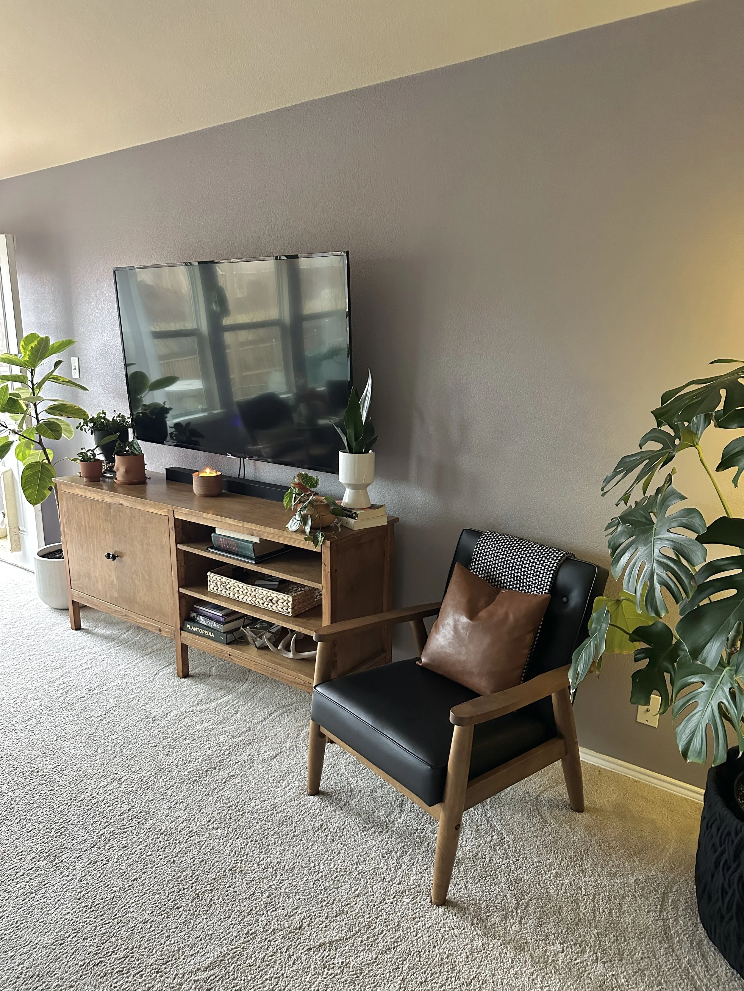 Interior plant design creating a warm, finished living space in a Fort Worth home.