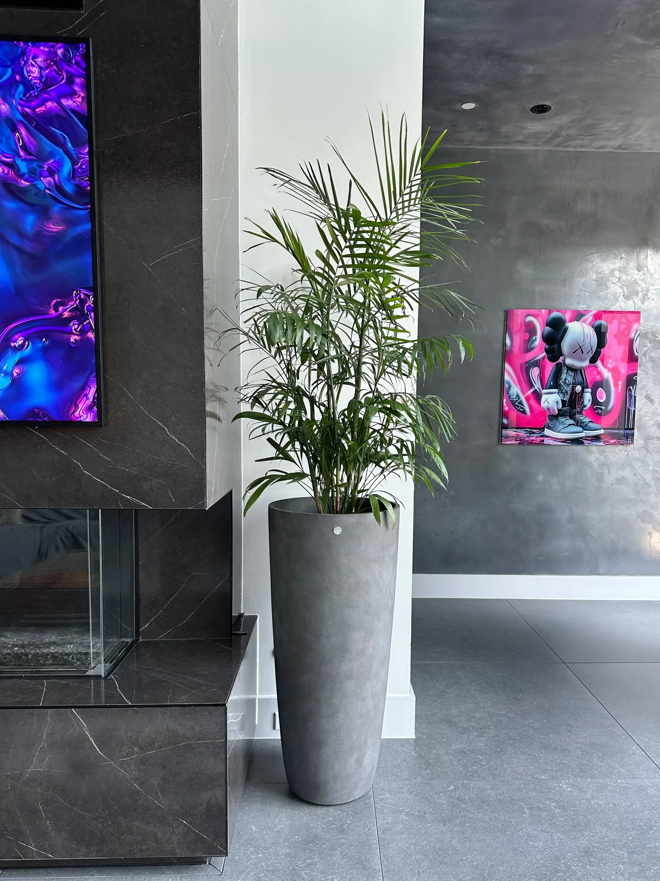 Tall indoor palm styled in a sleek gray planter beside a modern fireplace in a contemporary Dallas Fort Worth home. This plant placement demonstrates intentional plant styling and staging by Lauren and Plants.