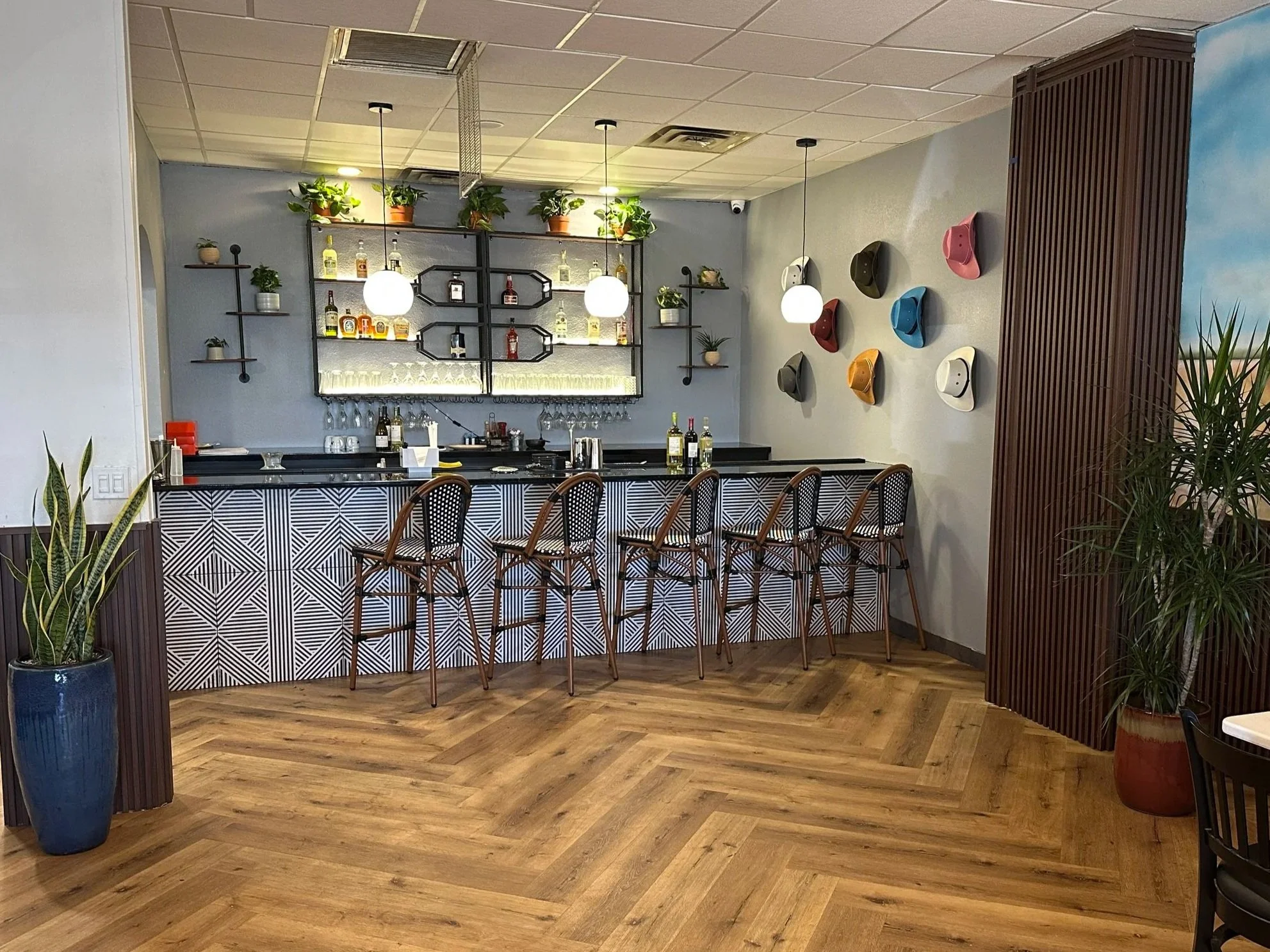 Commercial interior plant design at New Day Café in Fort Worth featuring layered greenery, styled bar shelving, and statement floor plants enhancing brand atmosphere.